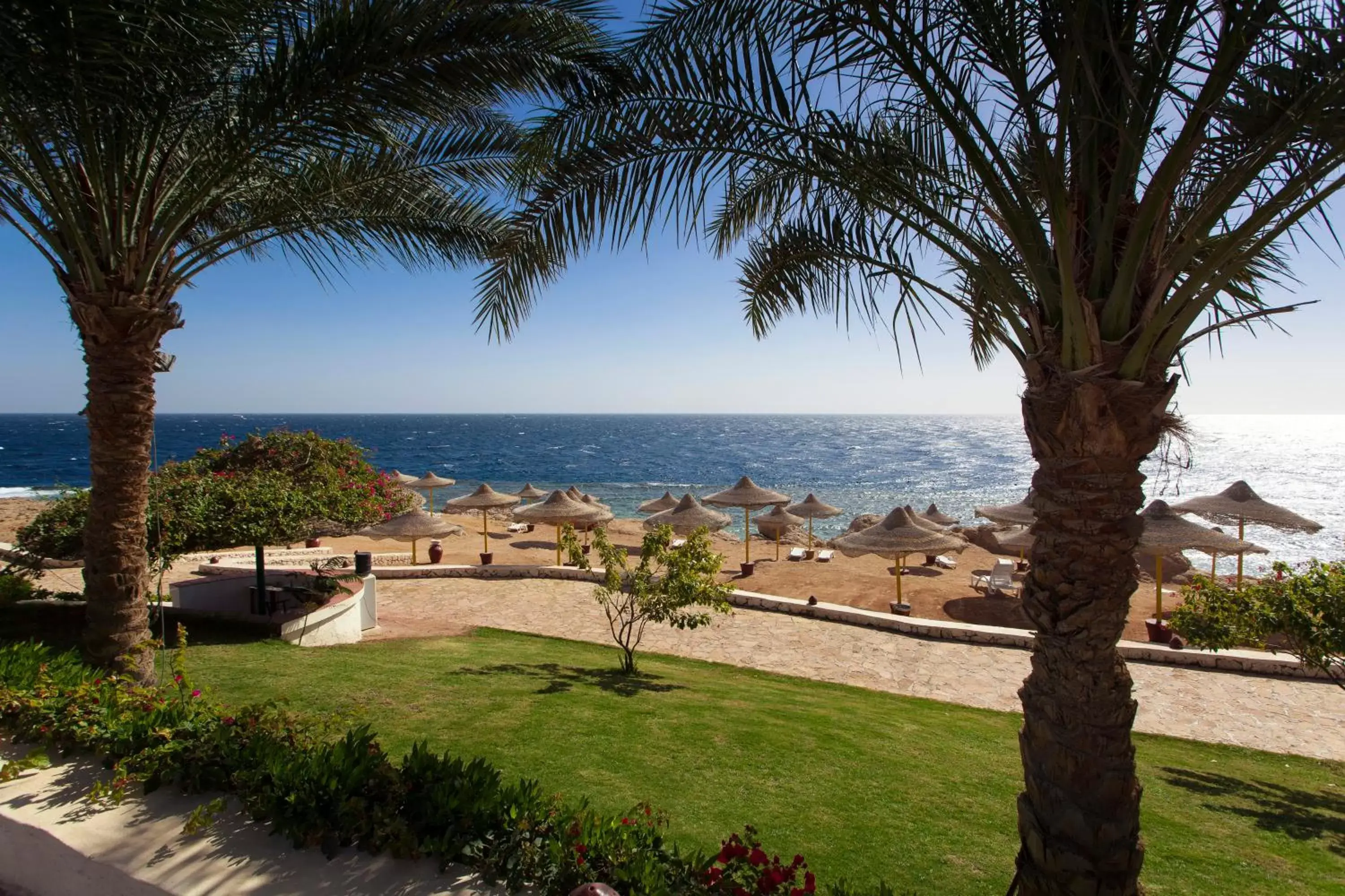 Garden in Sharm Club Beach Resort