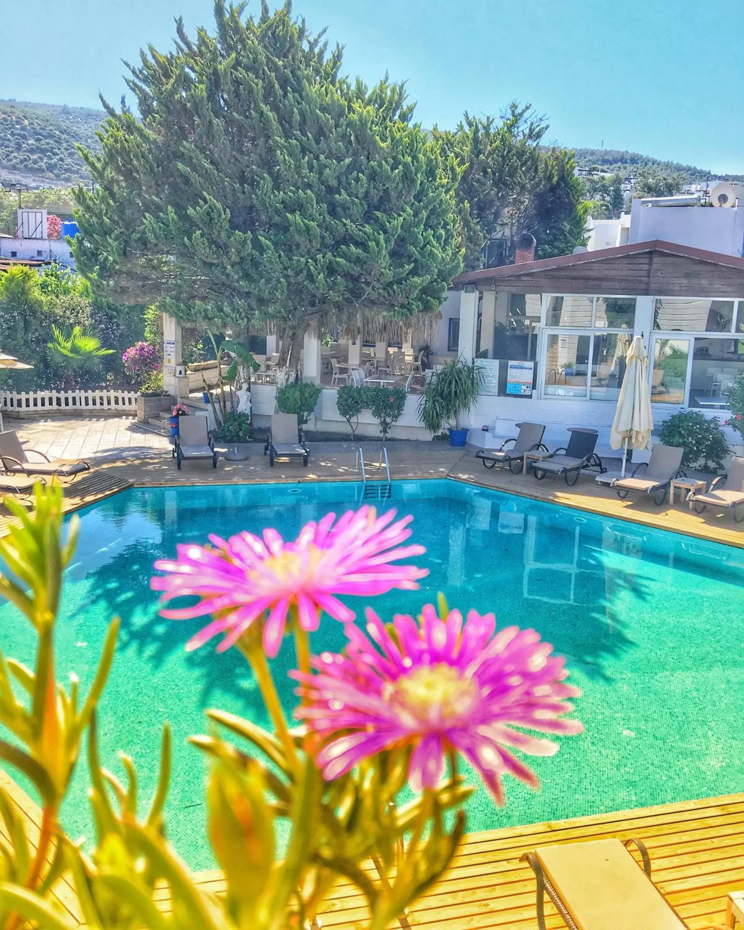 Swimming Pool in Costa Bodrum City