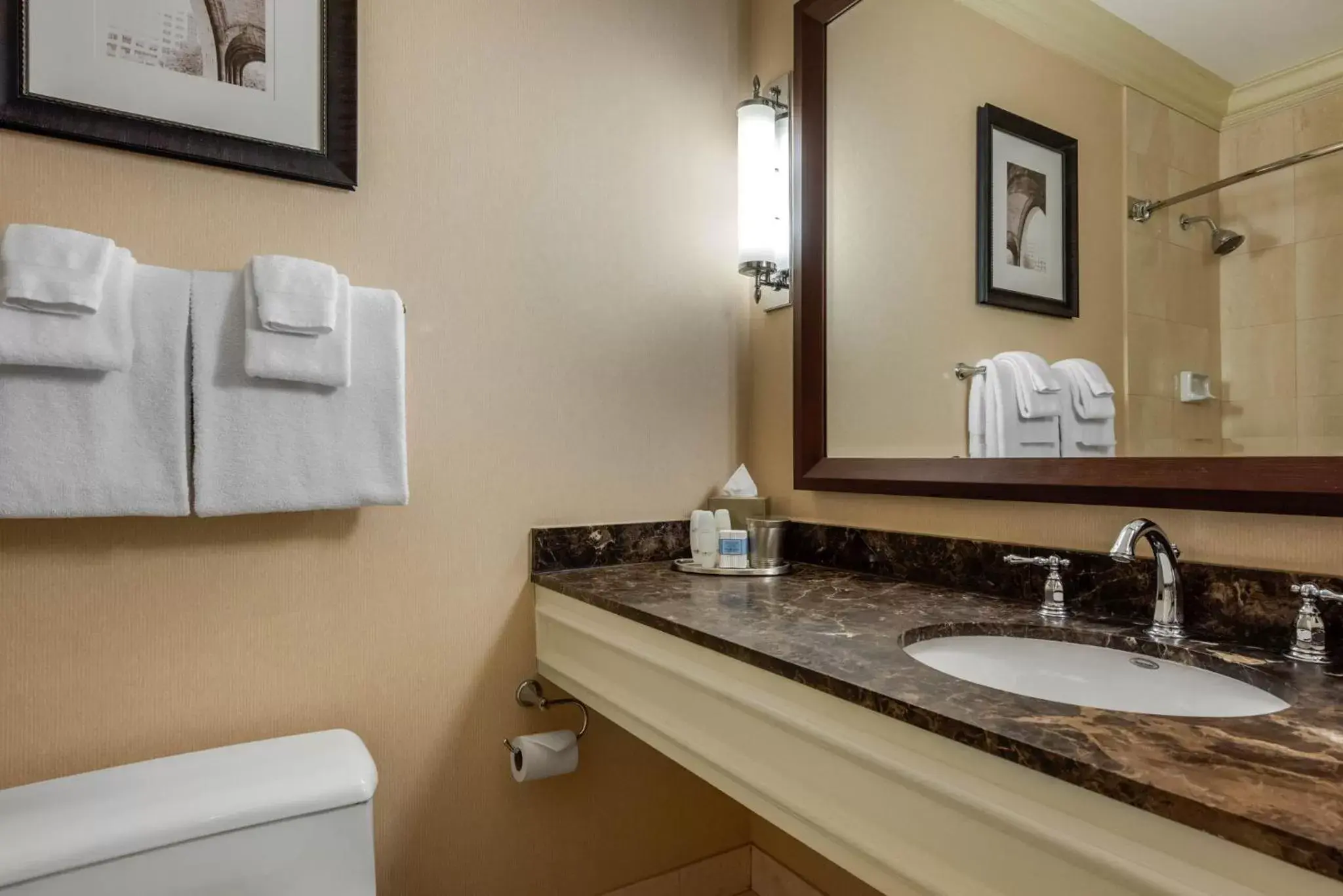 Bathroom in Omni William Penn Hotel