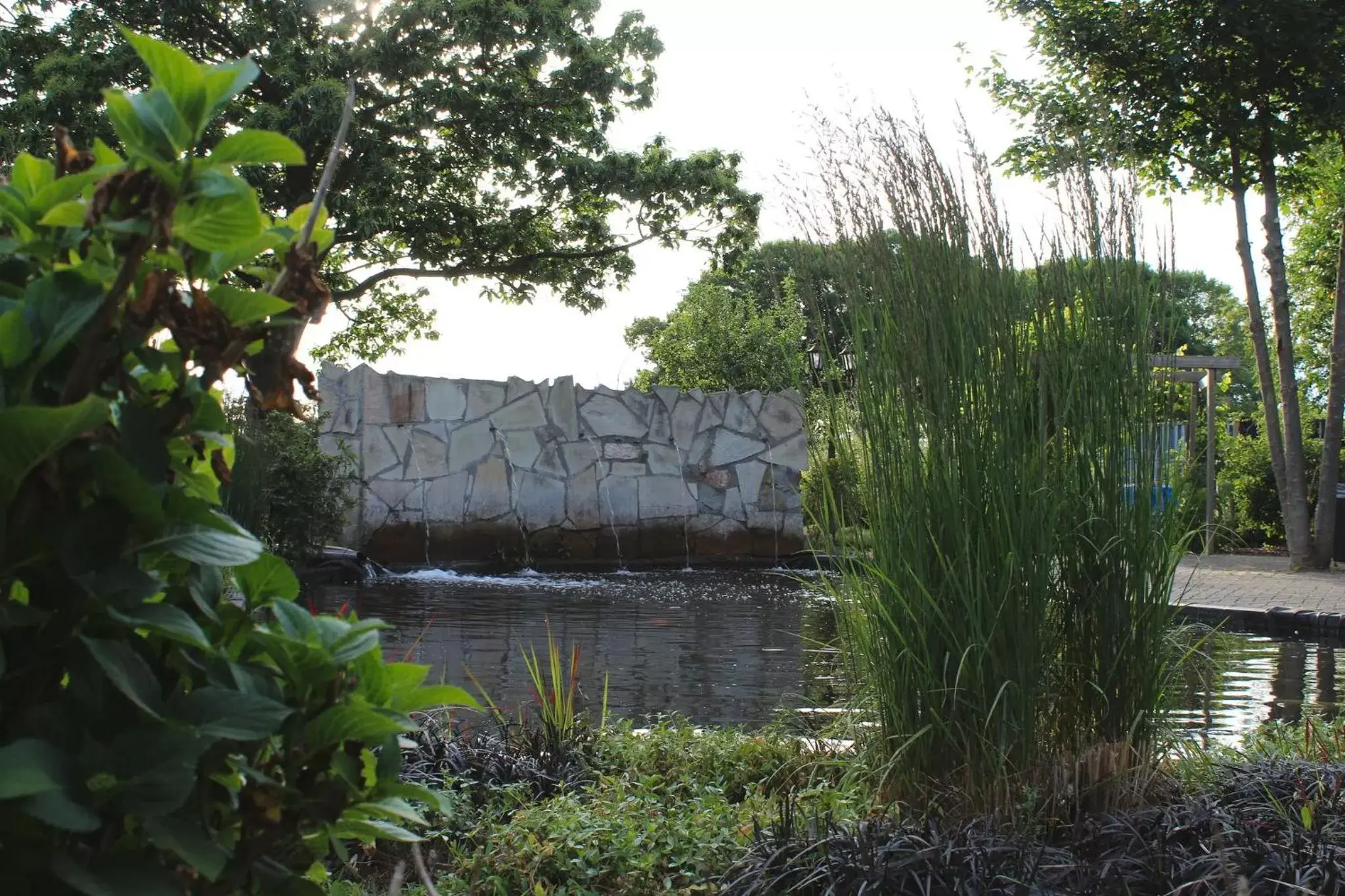 Natural landscape in B&B Johannes-Hoeve