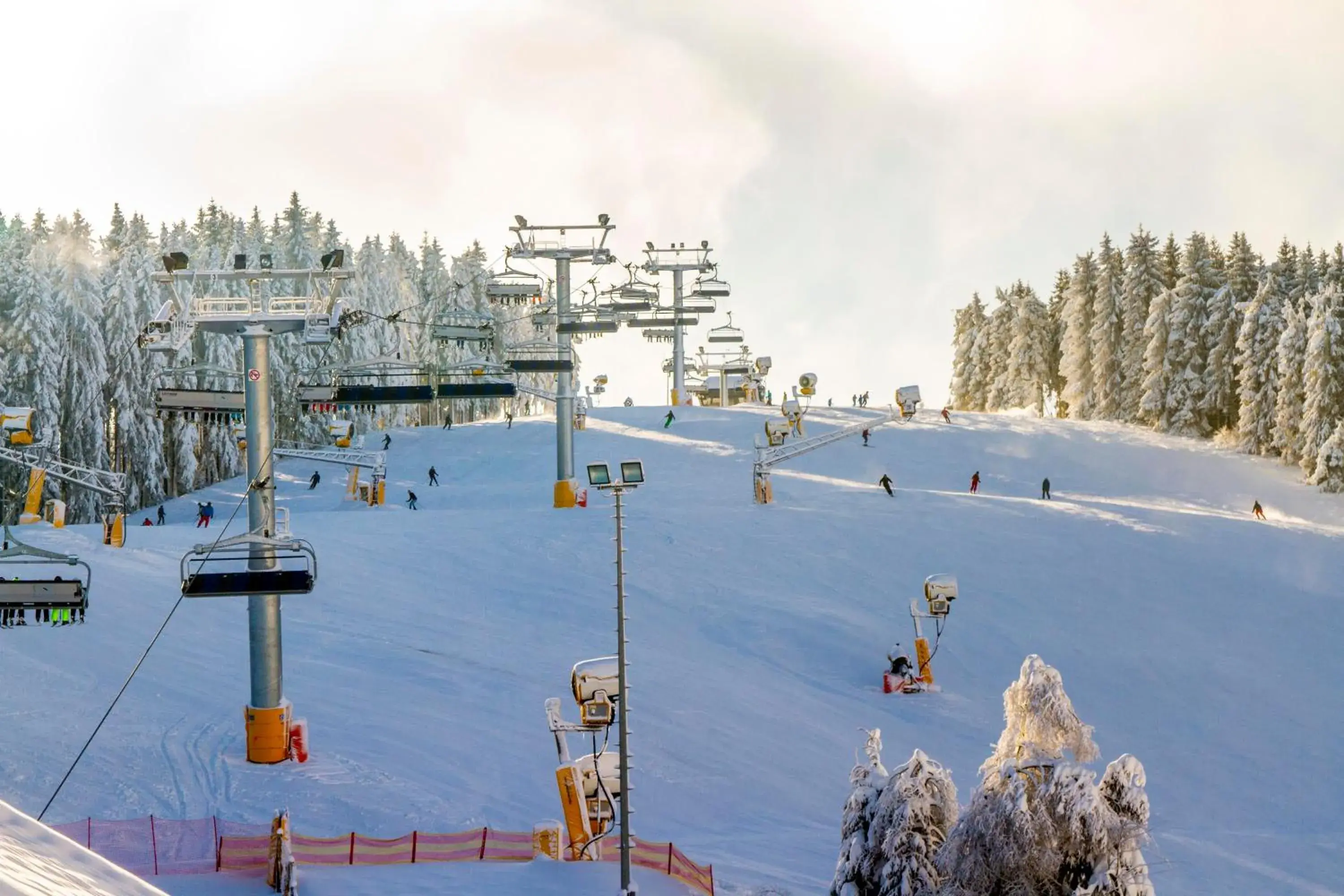 Winter in Hotel Niedersfeld-Winterberg