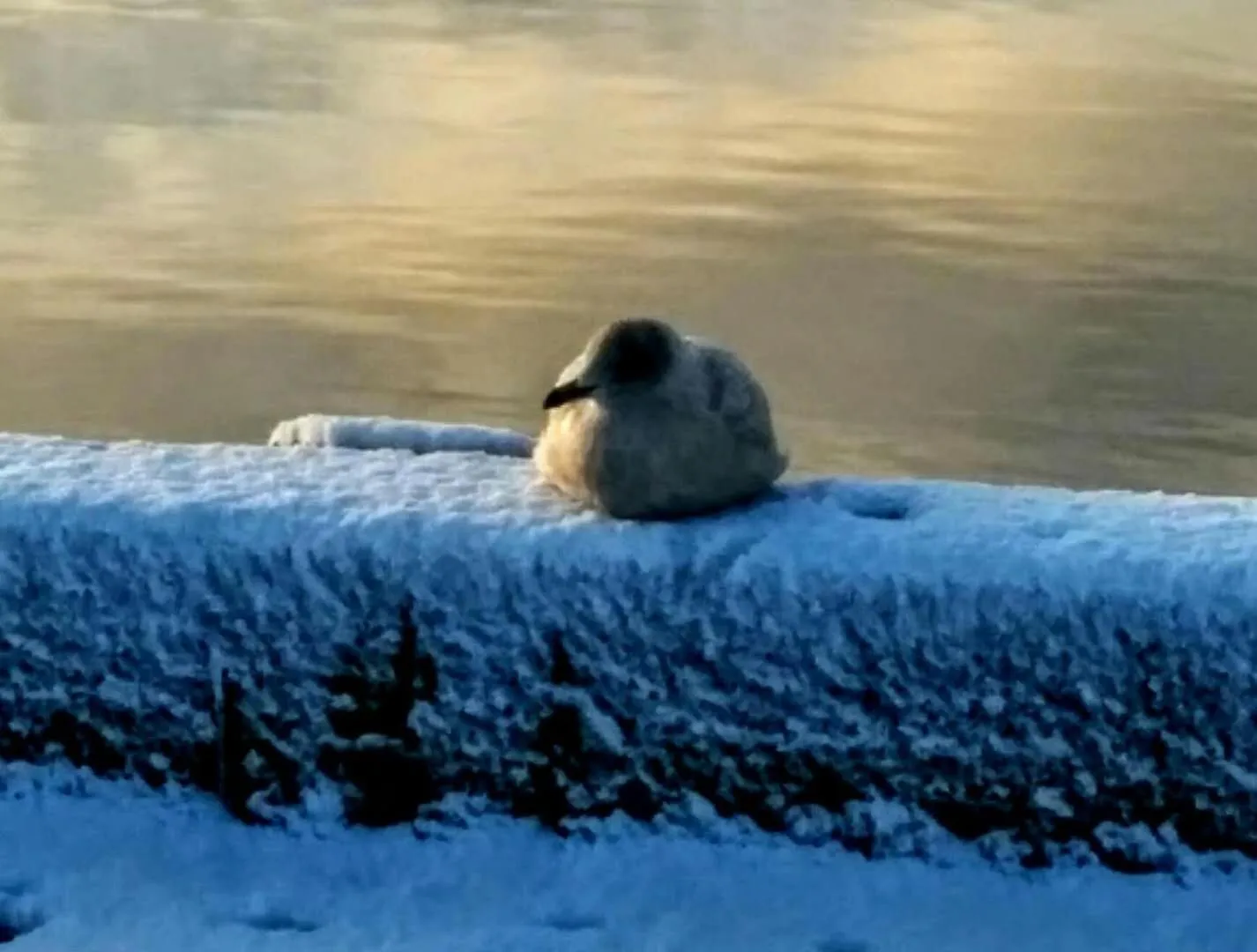 Natural landscape in Braeside Country Inn
