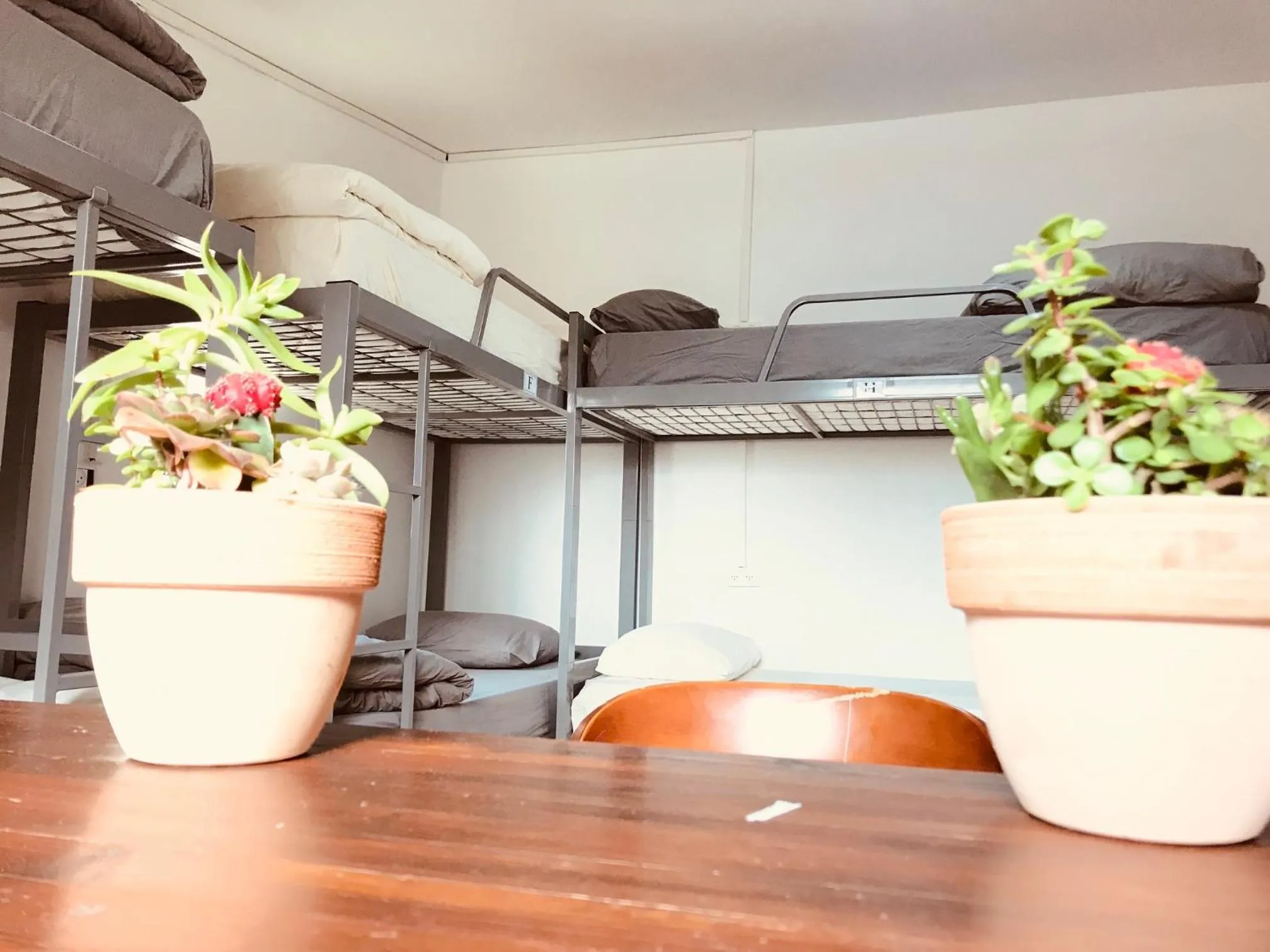 Bed in Al Yakhour Hostel