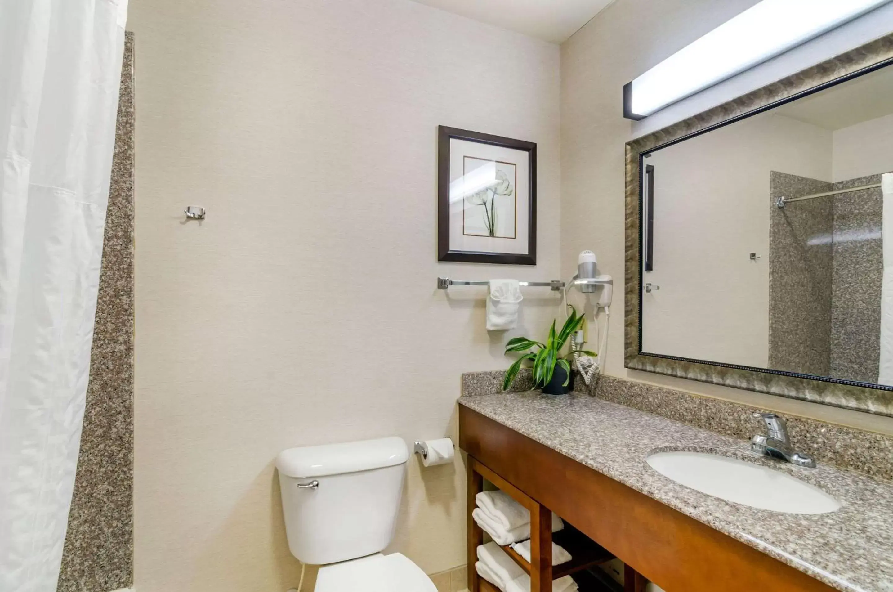 Photo of the whole room, Bathroom in Comfort Inn & Suites near Bethel College