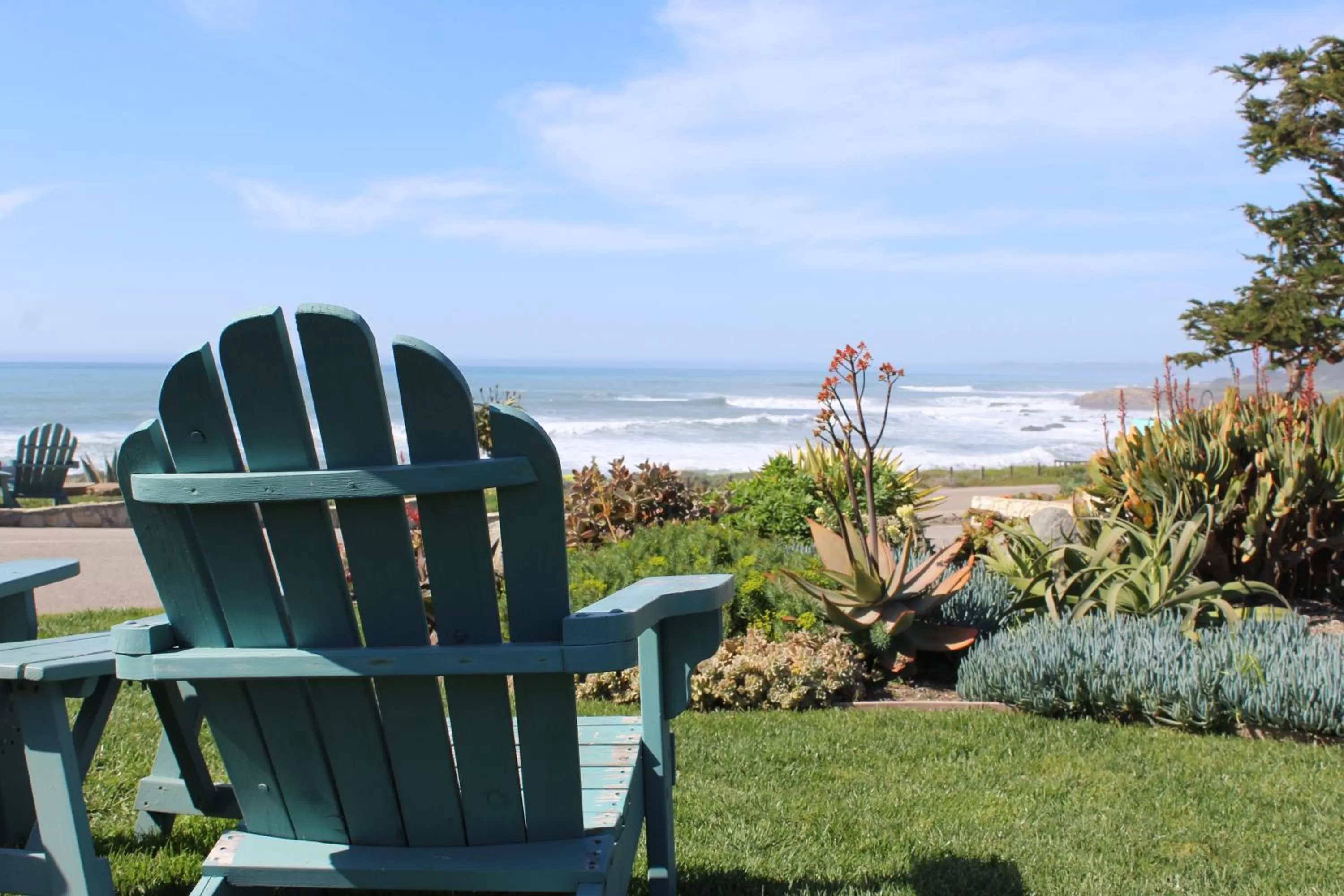 Garden view in Cambria Shores Inn