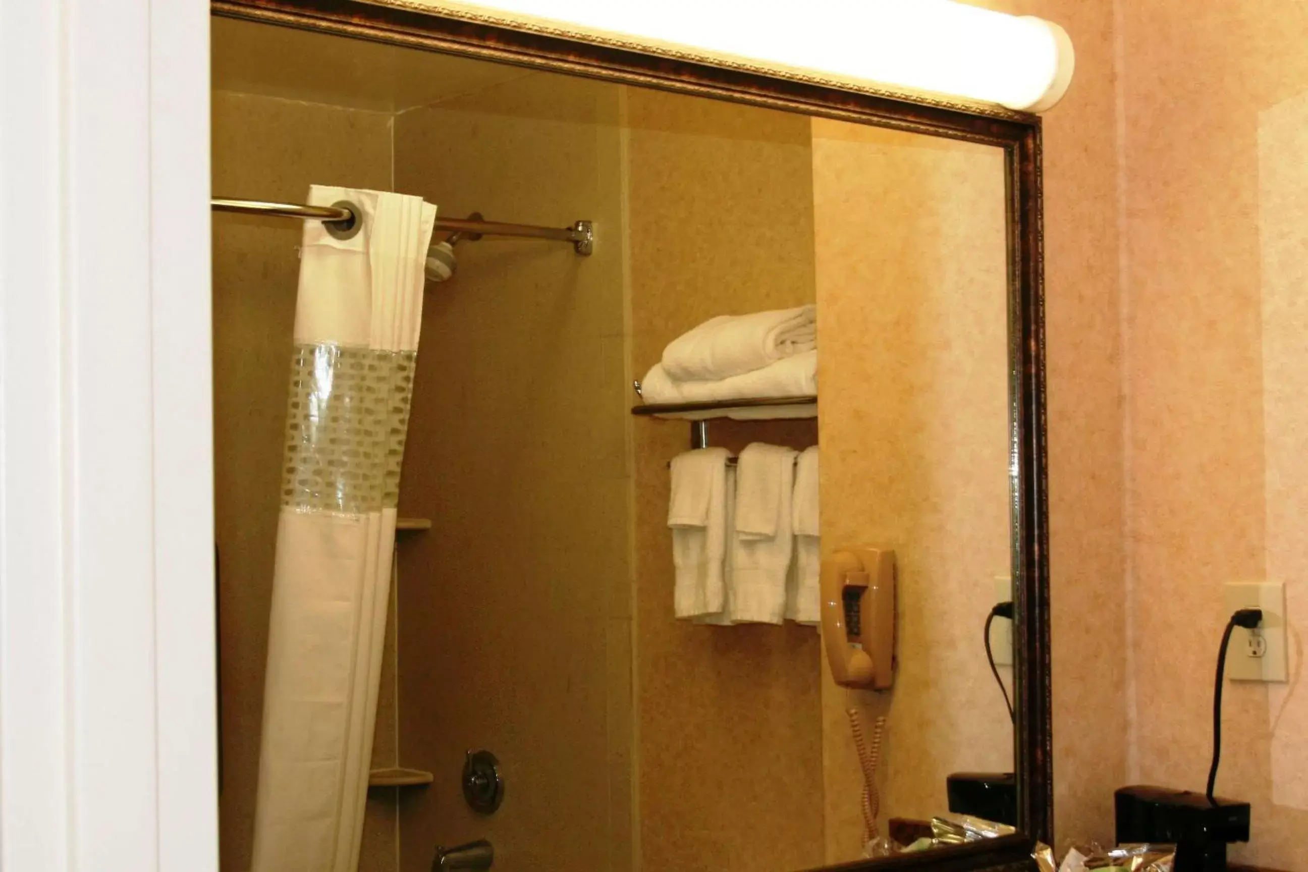 Bed, Bathroom in Hampton Inn Canton