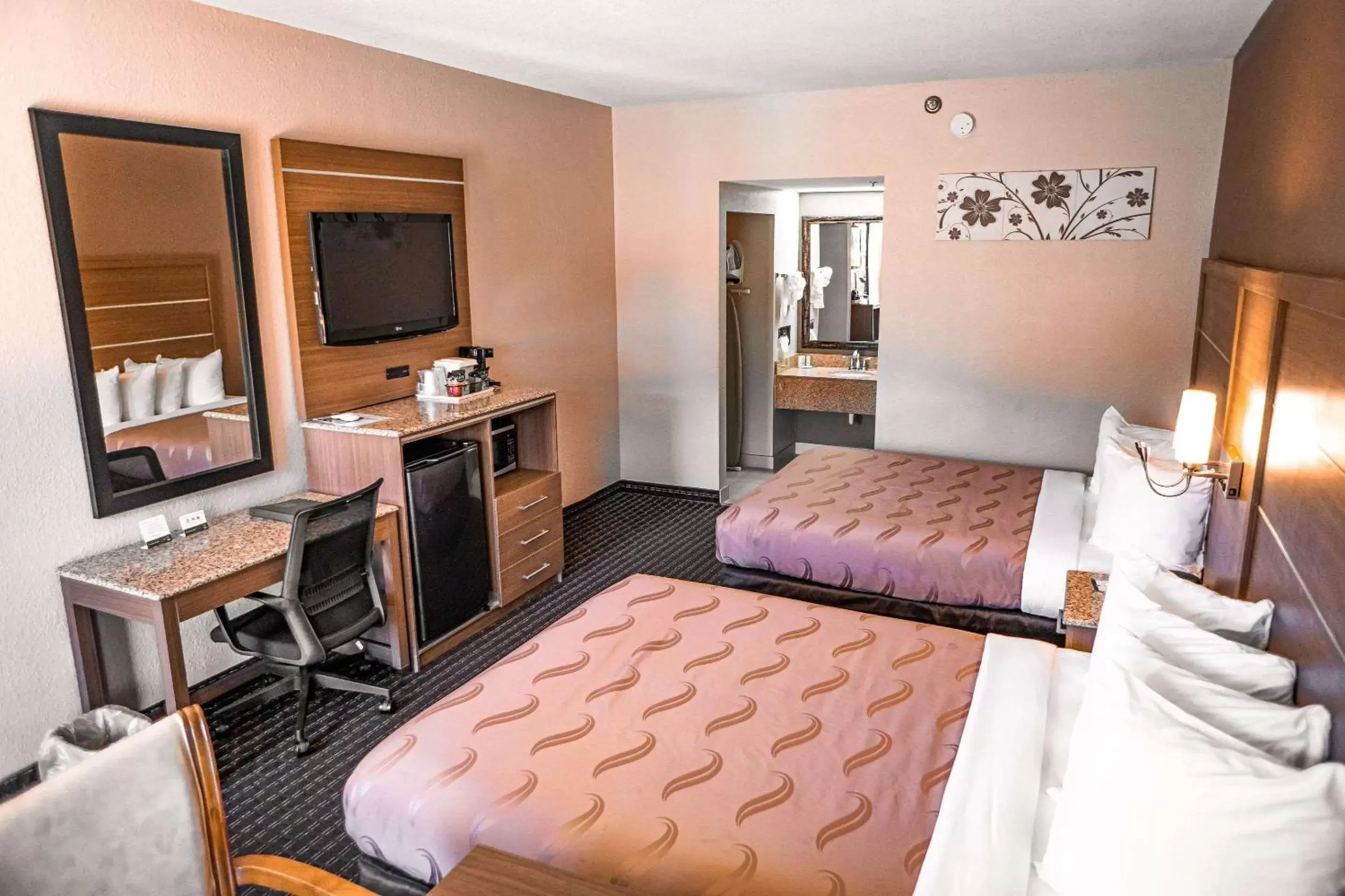 Bedroom, TV/Entertainment Center in Quality Inn & Suites near Six Flags - Austell