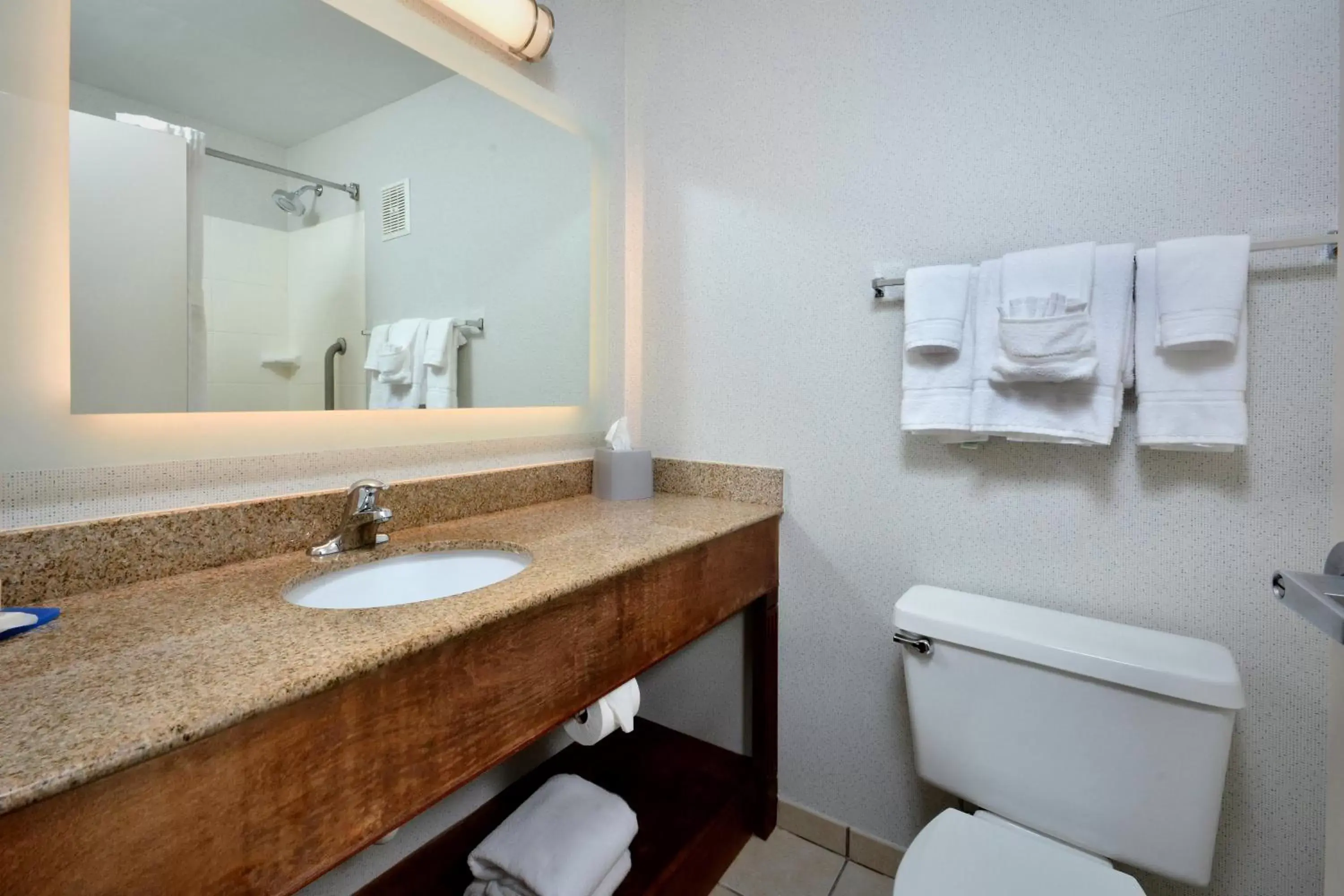 Bathroom in Holiday Inn Express Lynchburg, an IHG Hotel