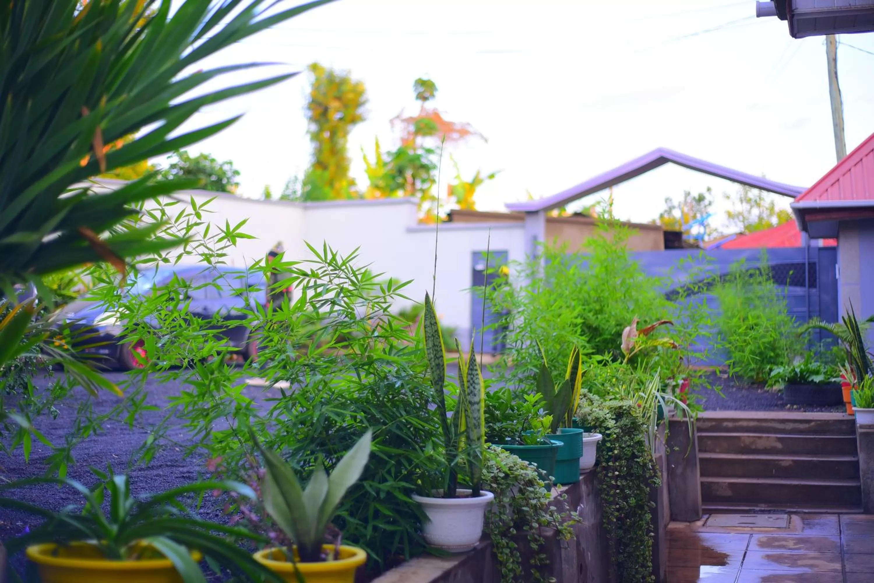 Spring in Safari Park House