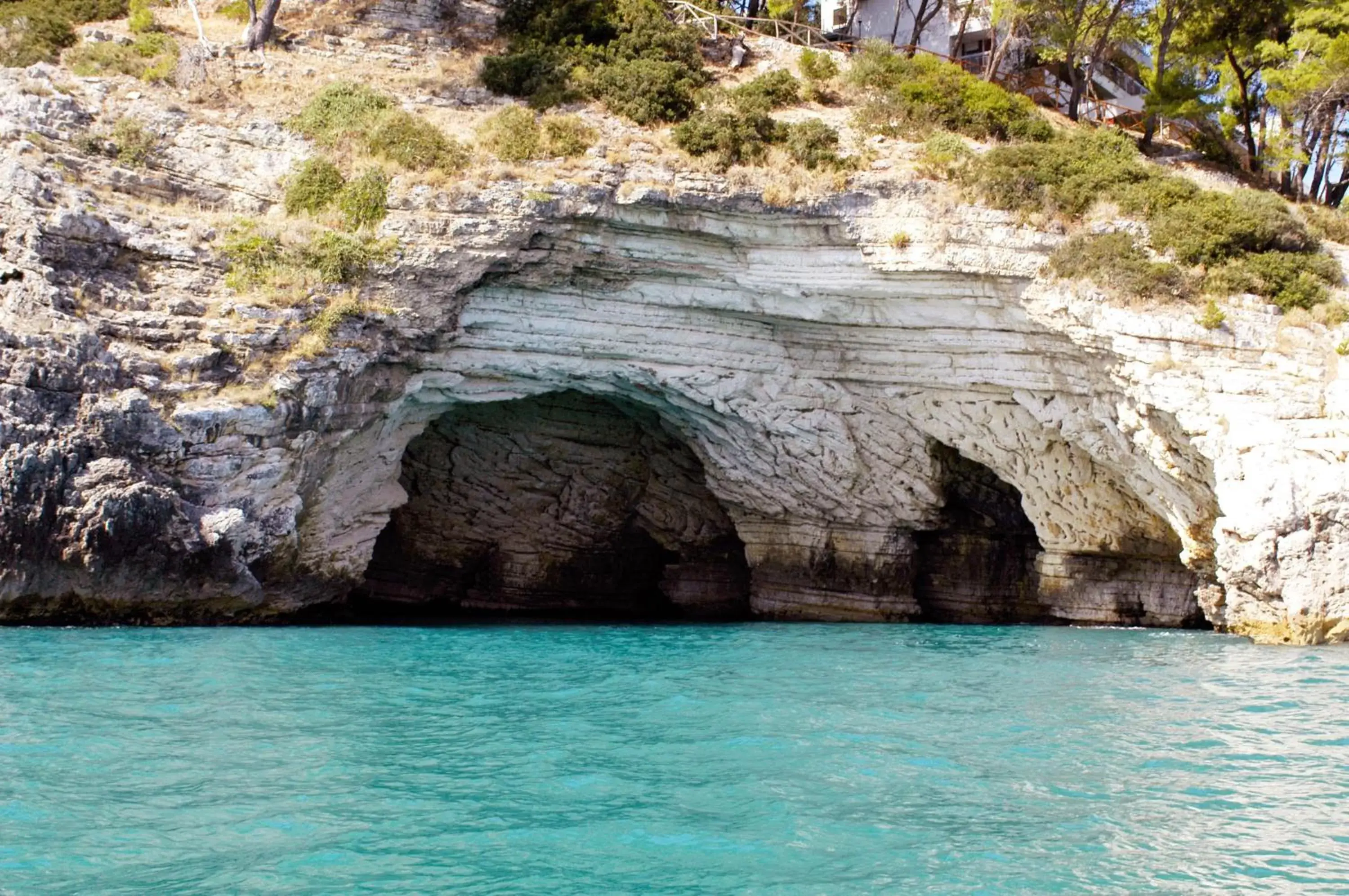 Natural Landscape in Apulia Bed&Breakfast