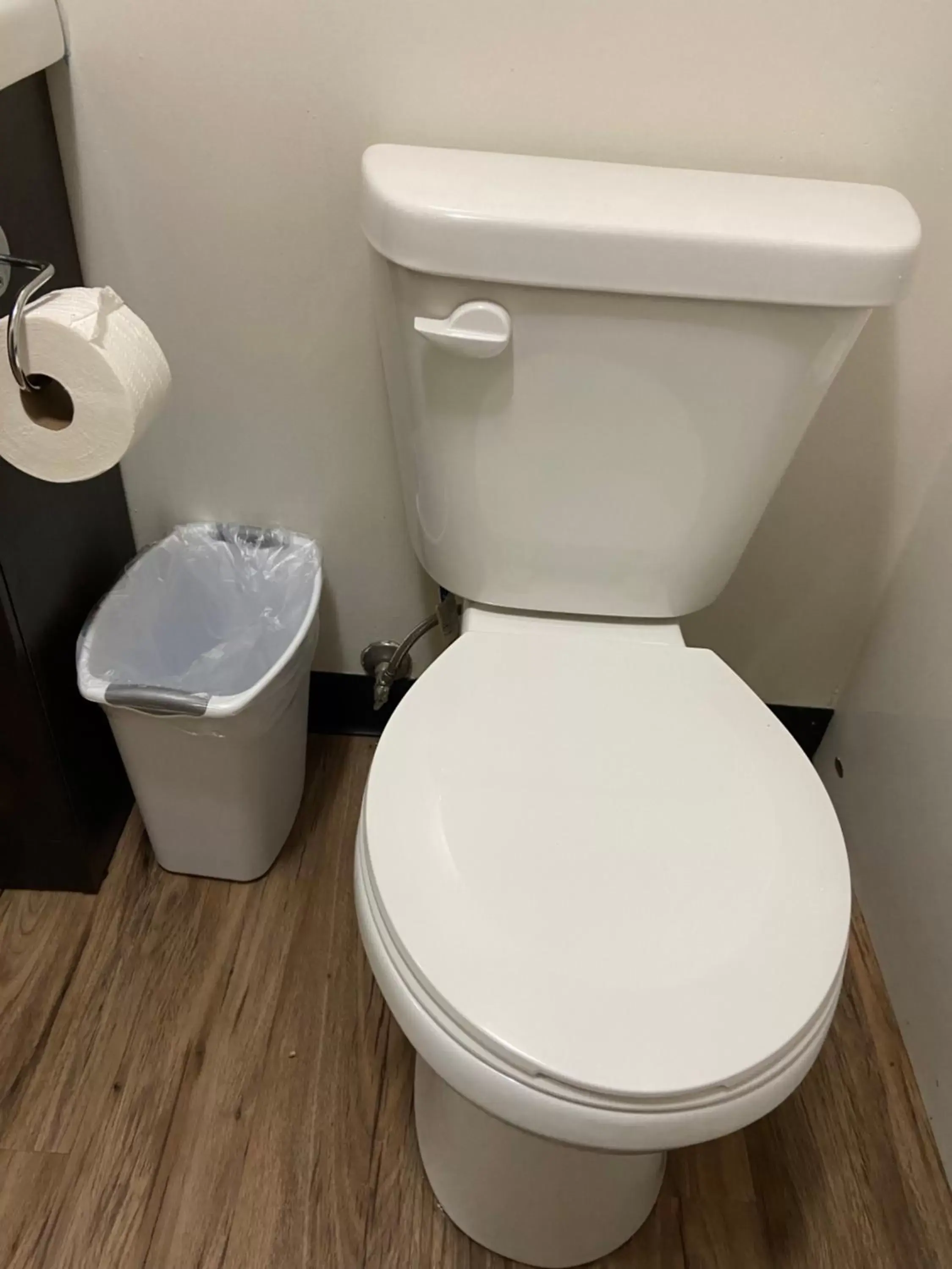 Toilet, Bathroom in Mountain View Motel