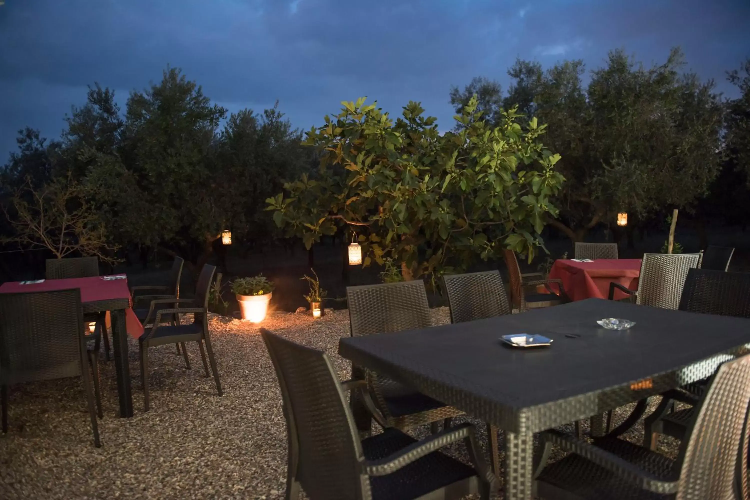 Lounge or bar, Restaurant/Places to Eat in B&B Rifugio tra gli Ulivi