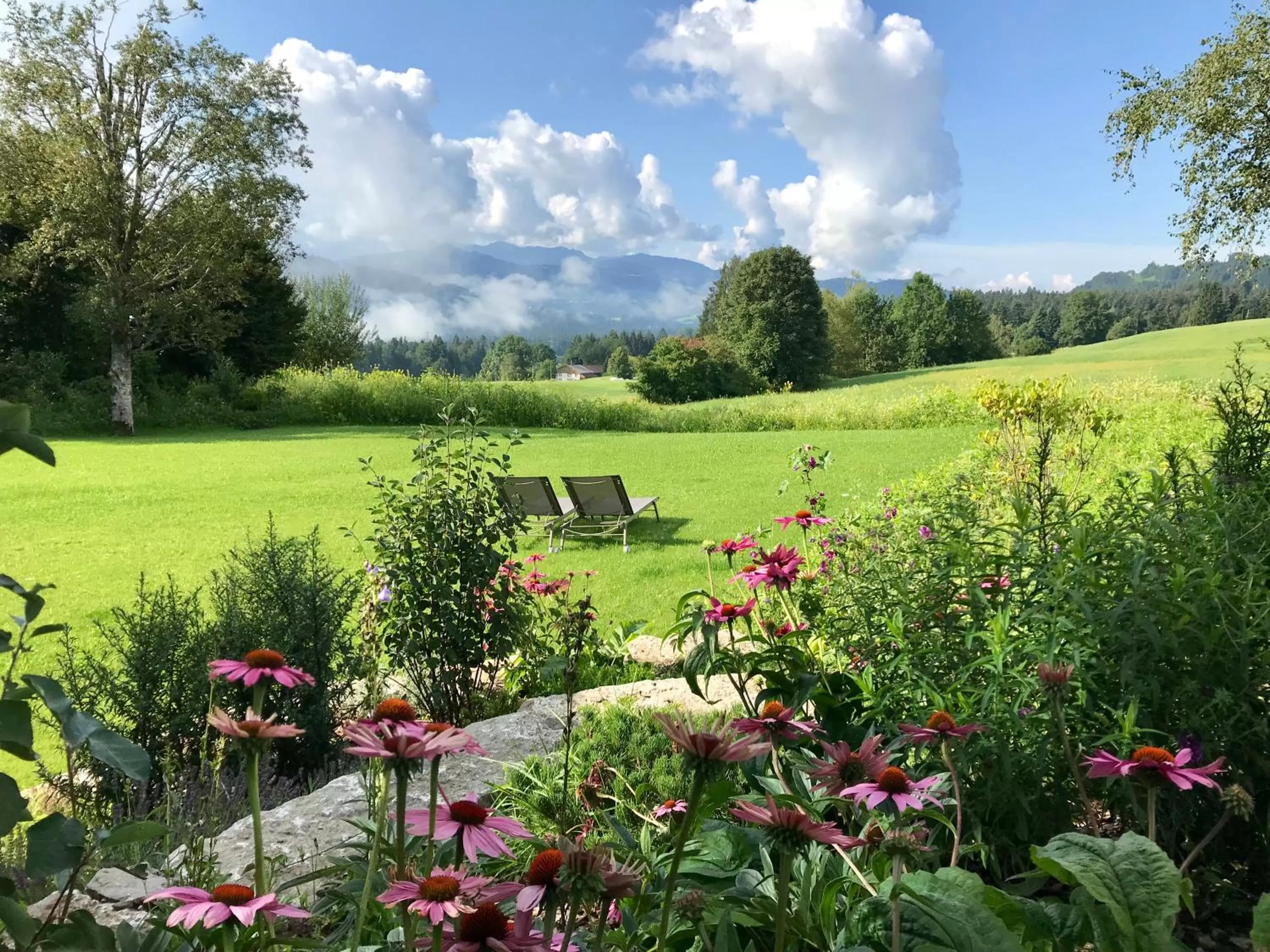 Summer in Alpenloge Design Hotel