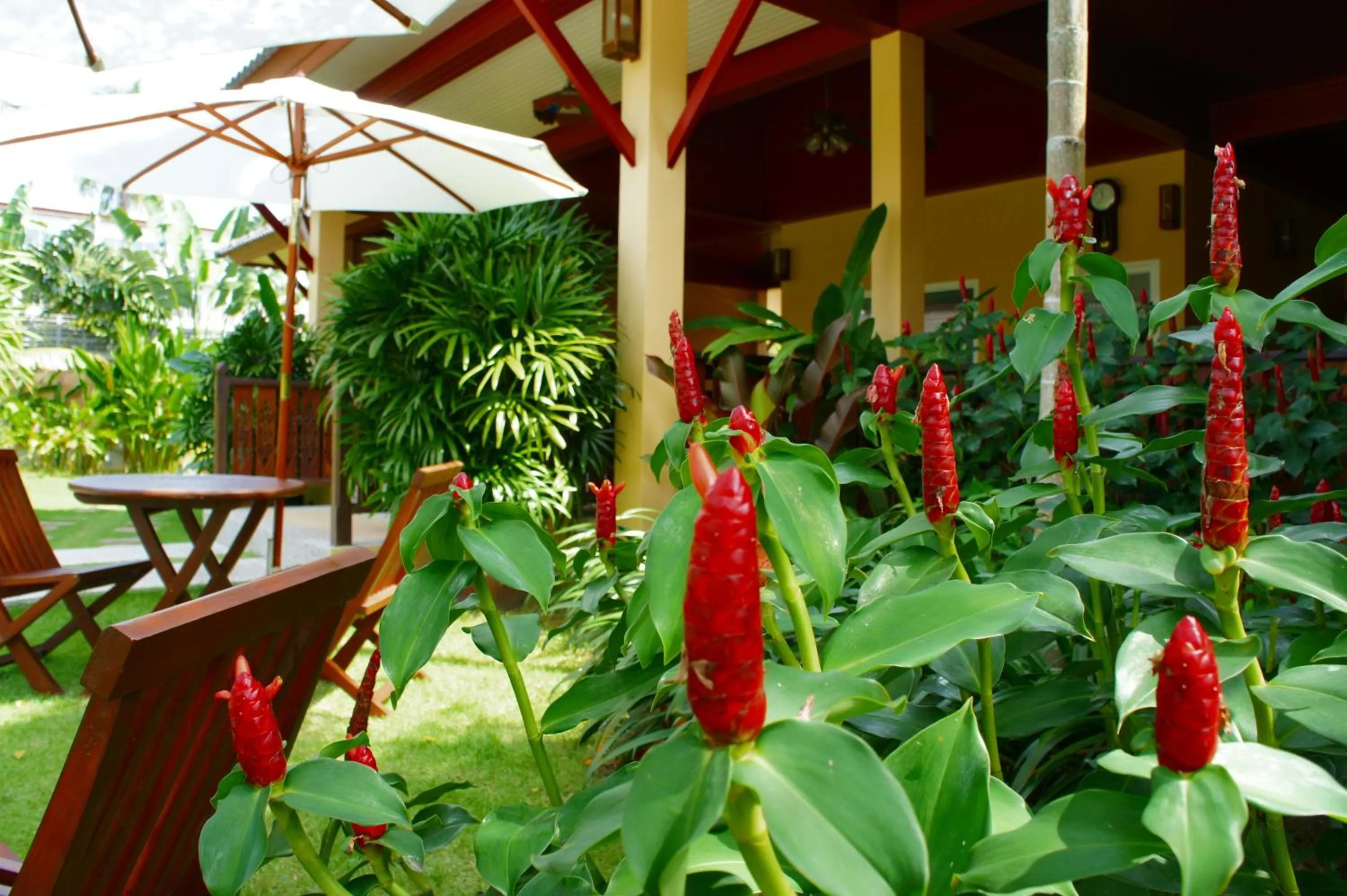 Garden in Le Piman Resort