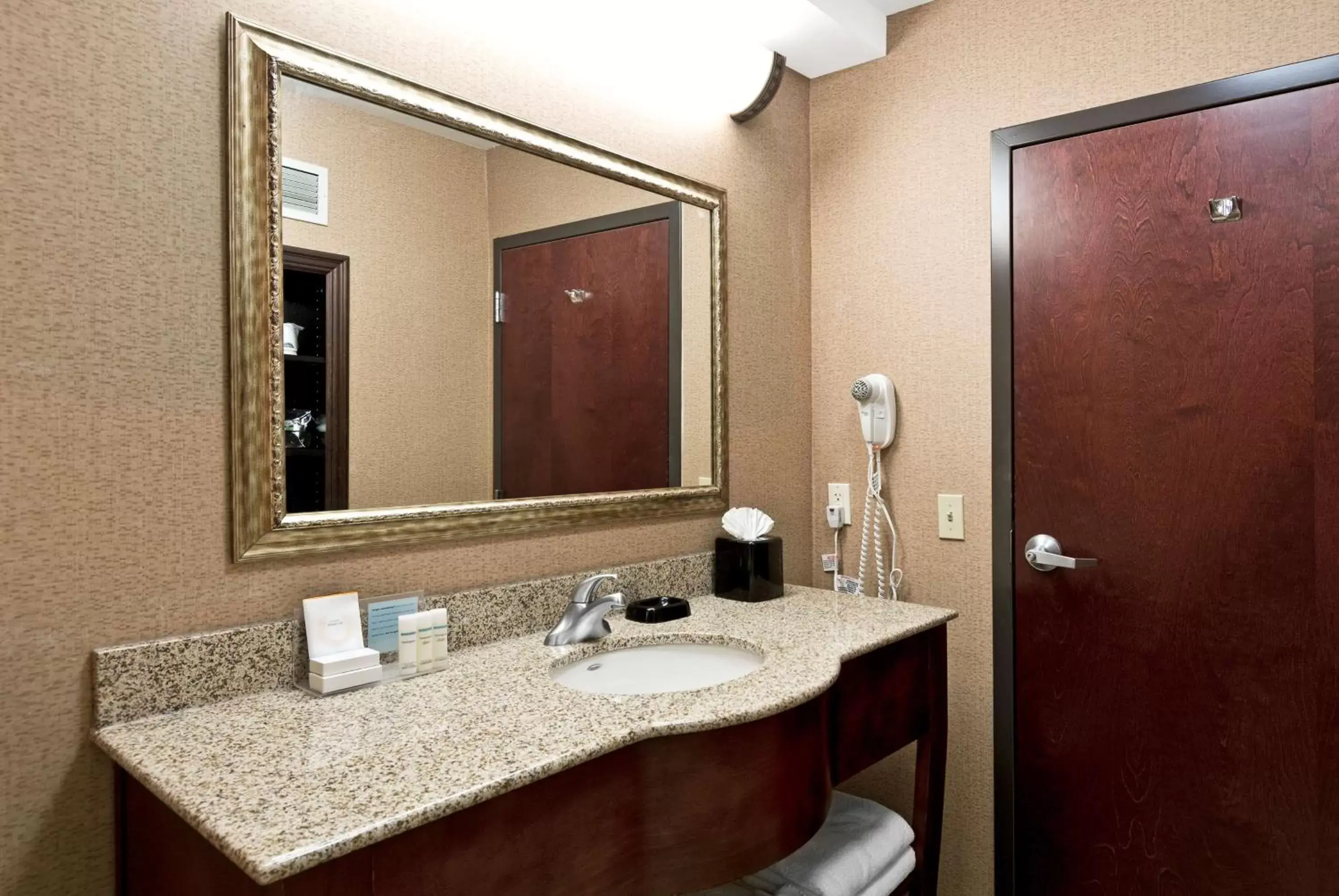 Bathroom in Hampton Inn Statesville