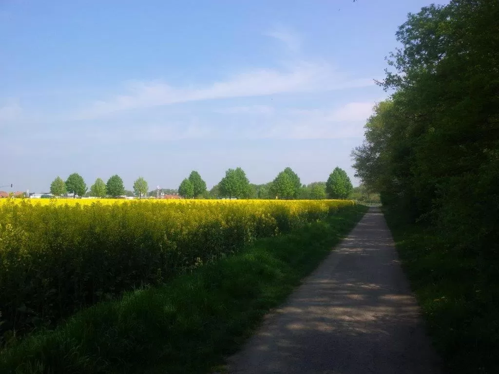 Natural landscape in Hotel-Café-Galerie