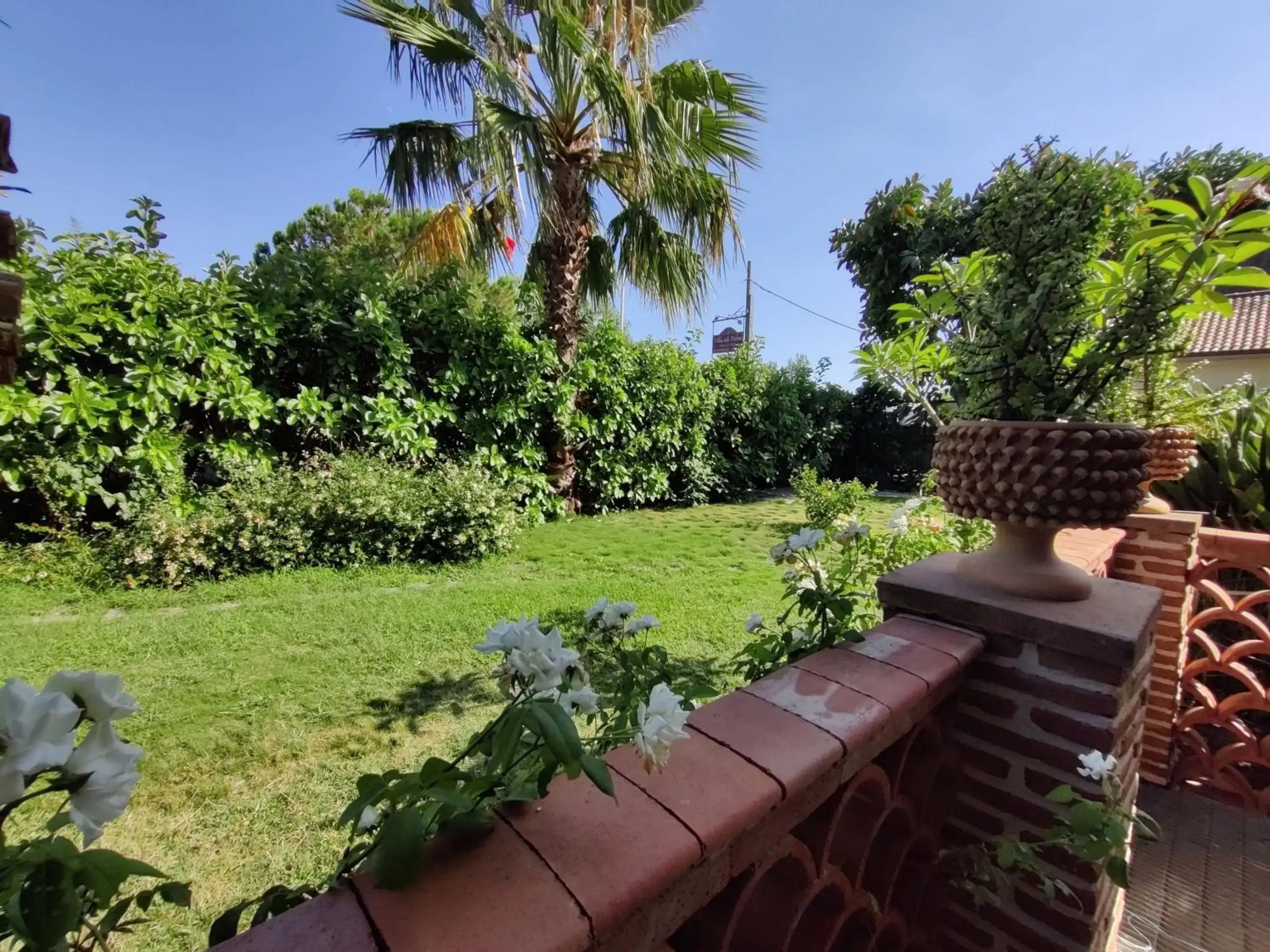 Garden in Villa delle Palme