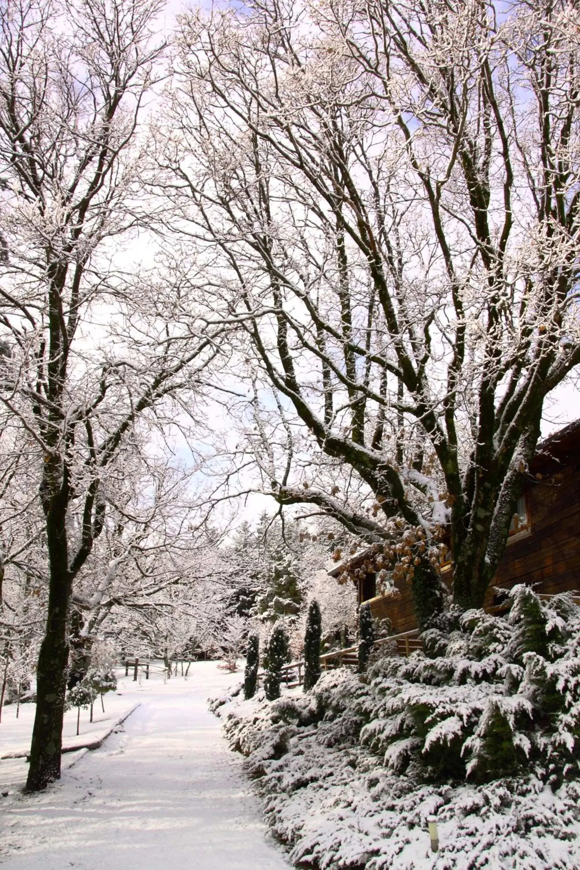 Neighbourhood, Winter in Hotel Rural Las Rozuelas