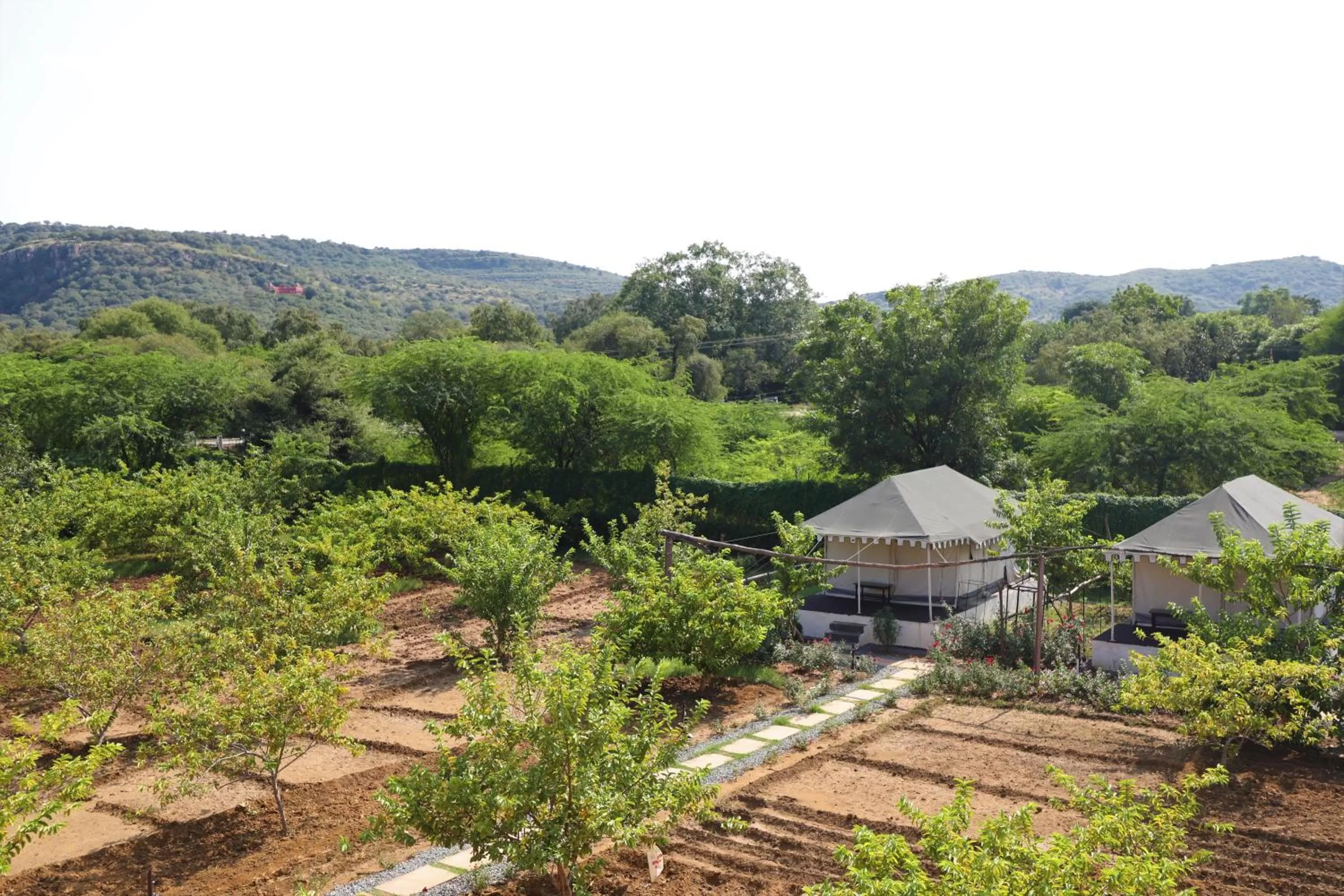 Camp Paridhi Ranthambhore, Homestay