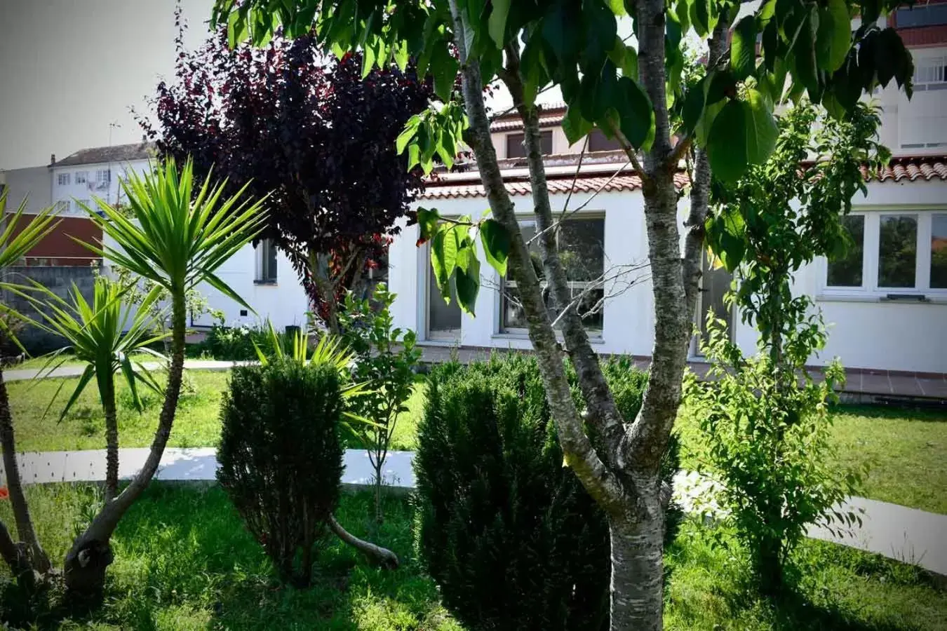 Property Building in Pincheiro Apartamentos Turísticos