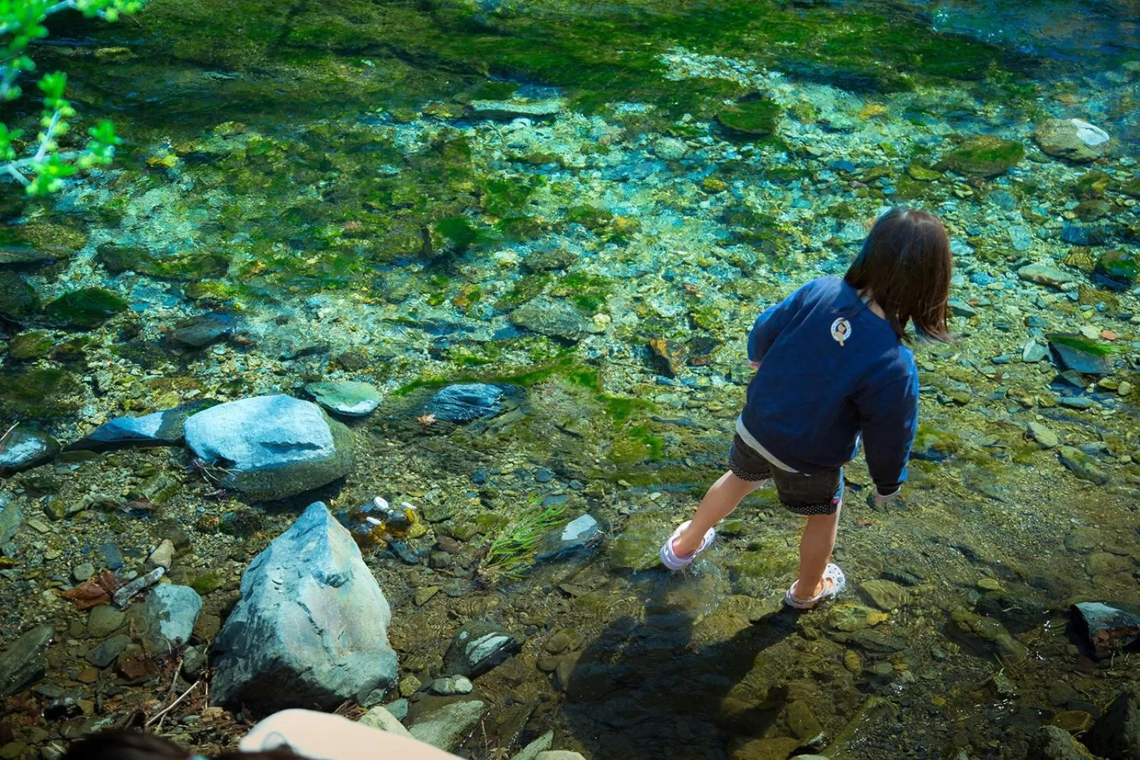 Activities in Hotel El faro