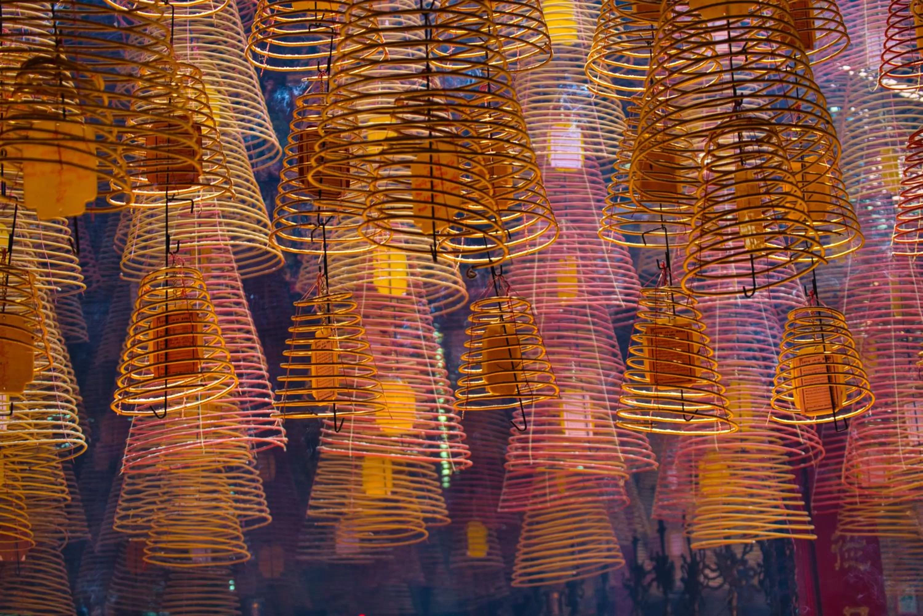 Activities in Legacy Mekong, Can Tho, Autograph Collection