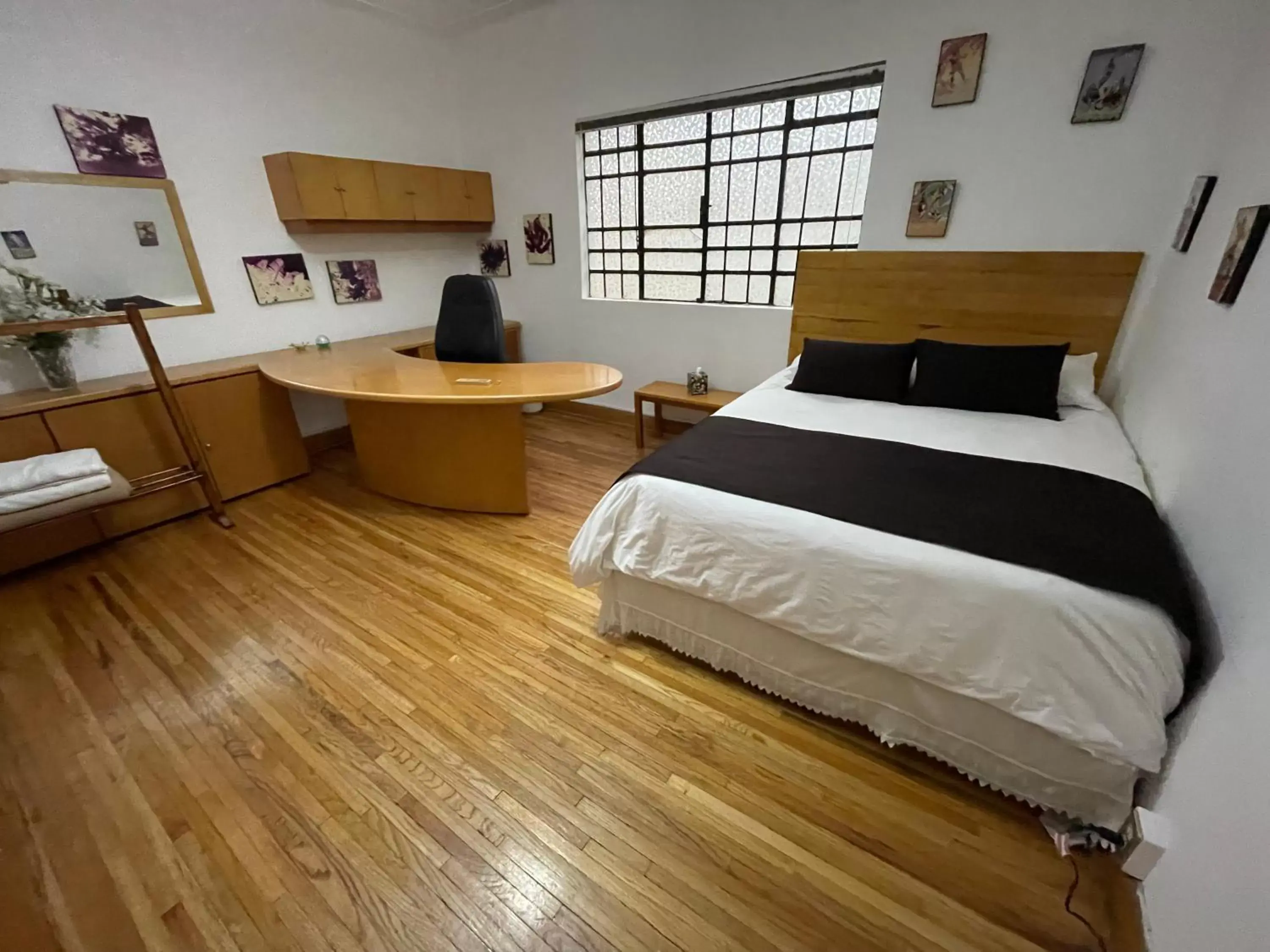 Photo of the whole room in Hostal Roma Condesa