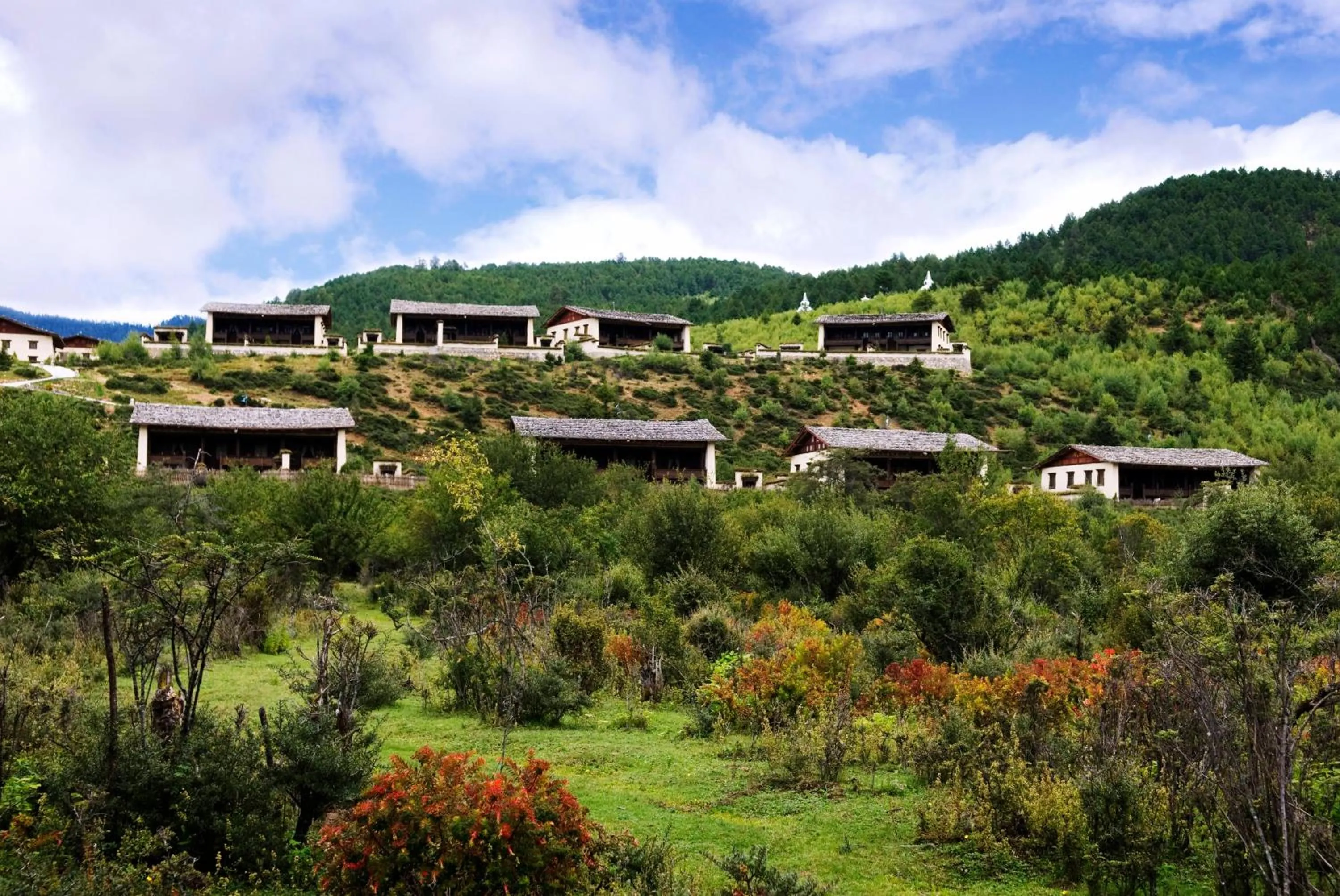 Property building in Banyan Tree Ringha