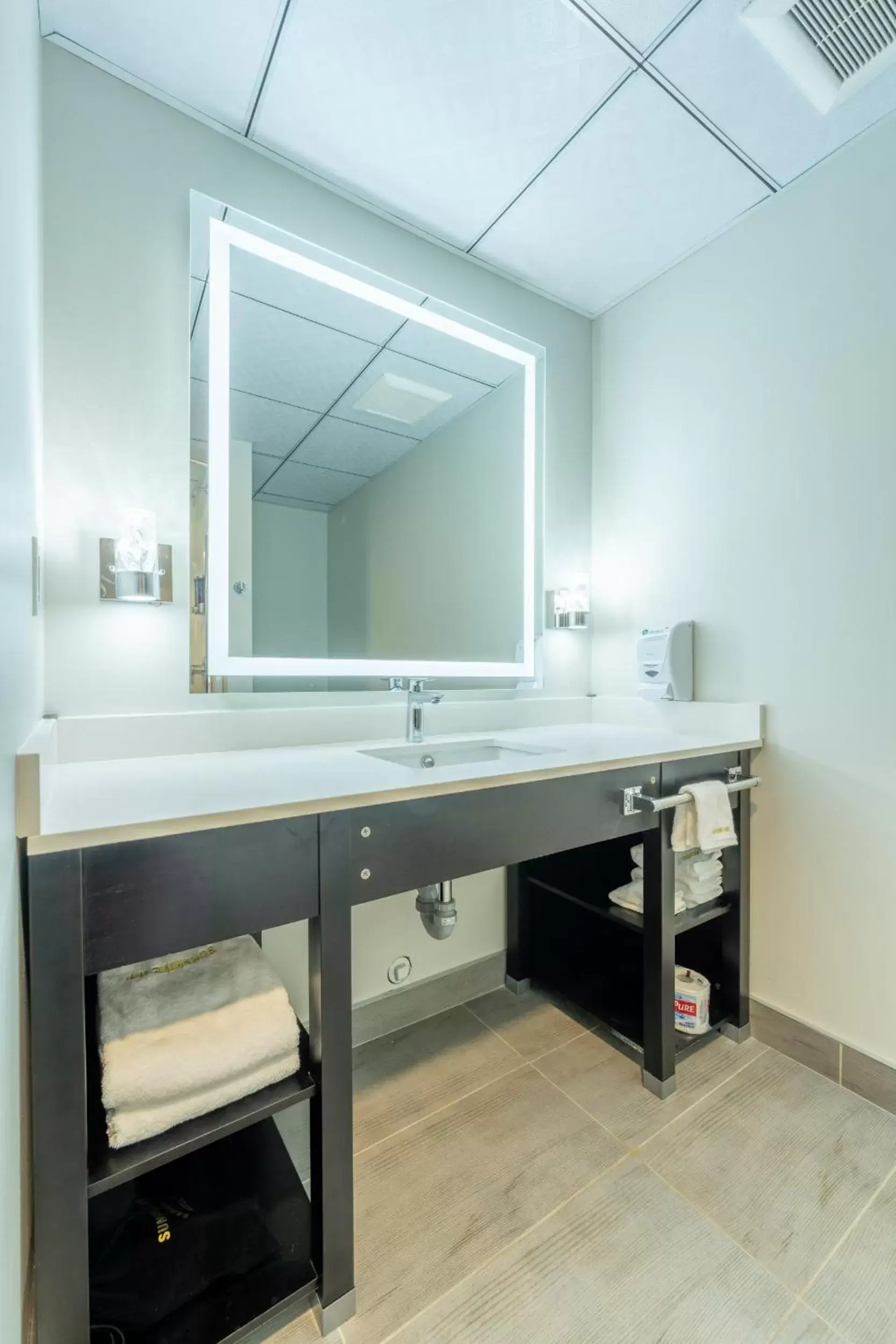 Bathroom in Quality Inn Sunshine Suites