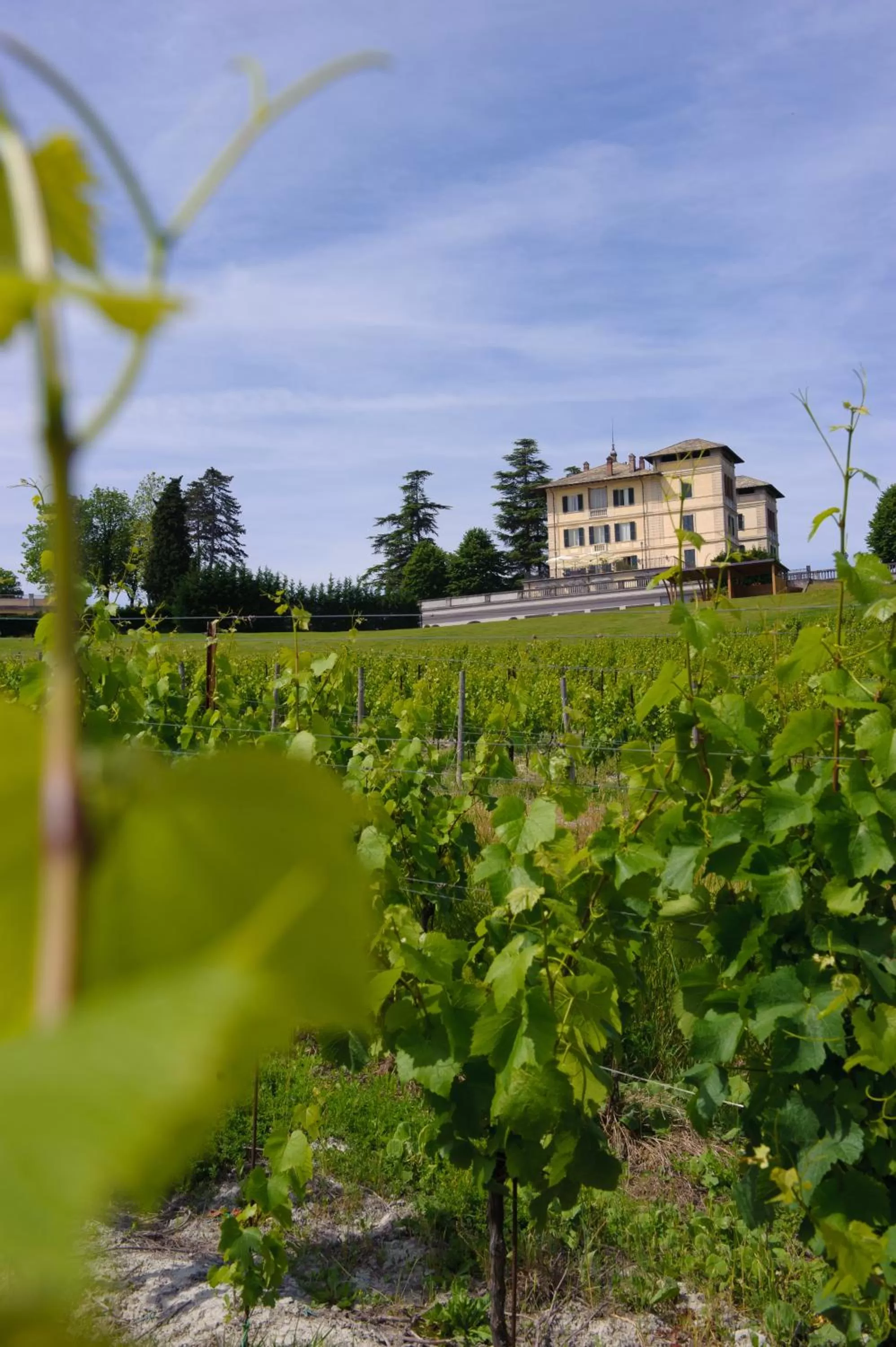 Facade/entrance in Hotel Villa La Bollina