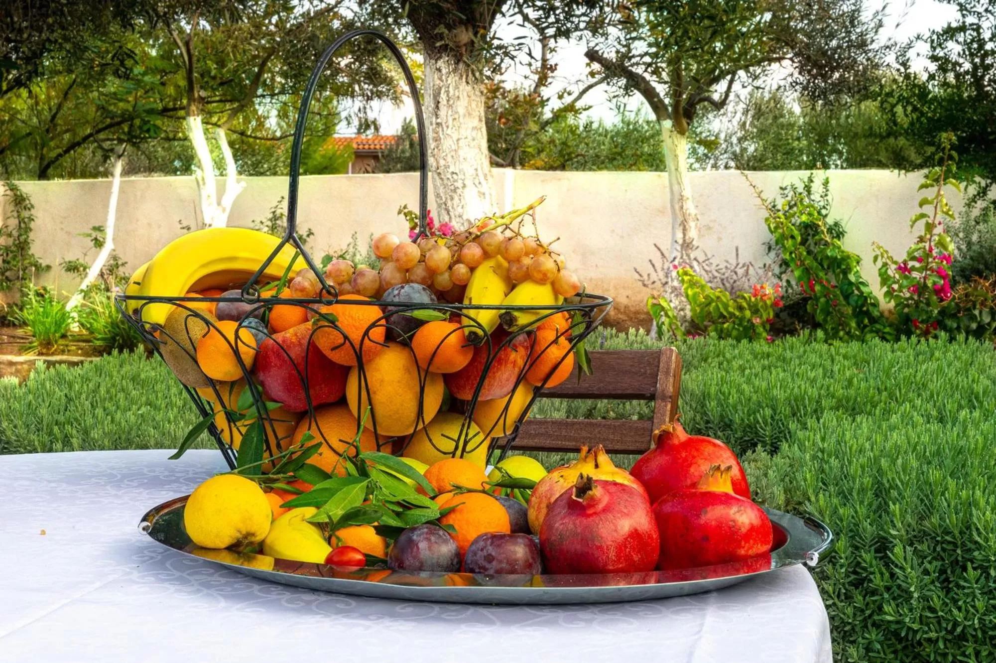 Comfort Stay Athens Airport Hotel - FREE shuttle from and to the airport