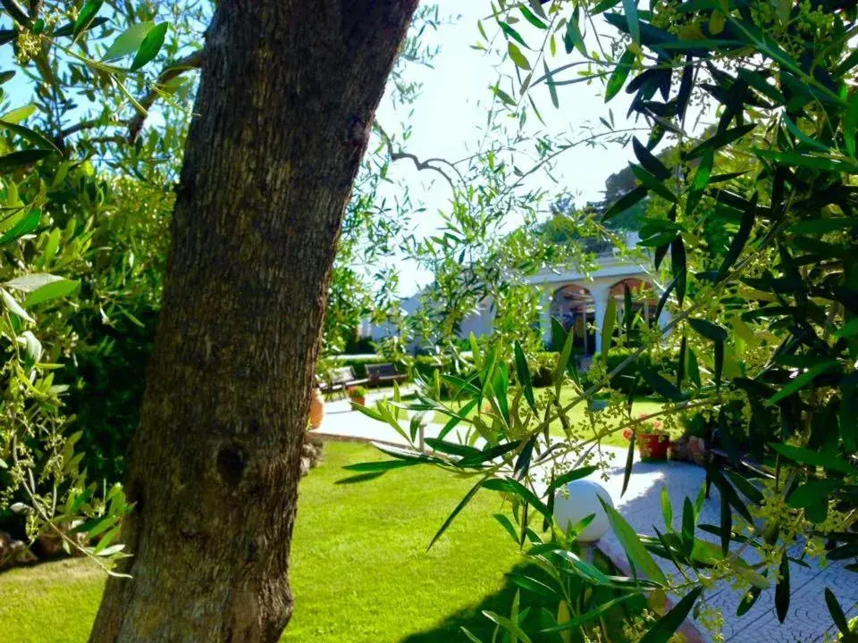 Garden in Hotel d'Altavilla