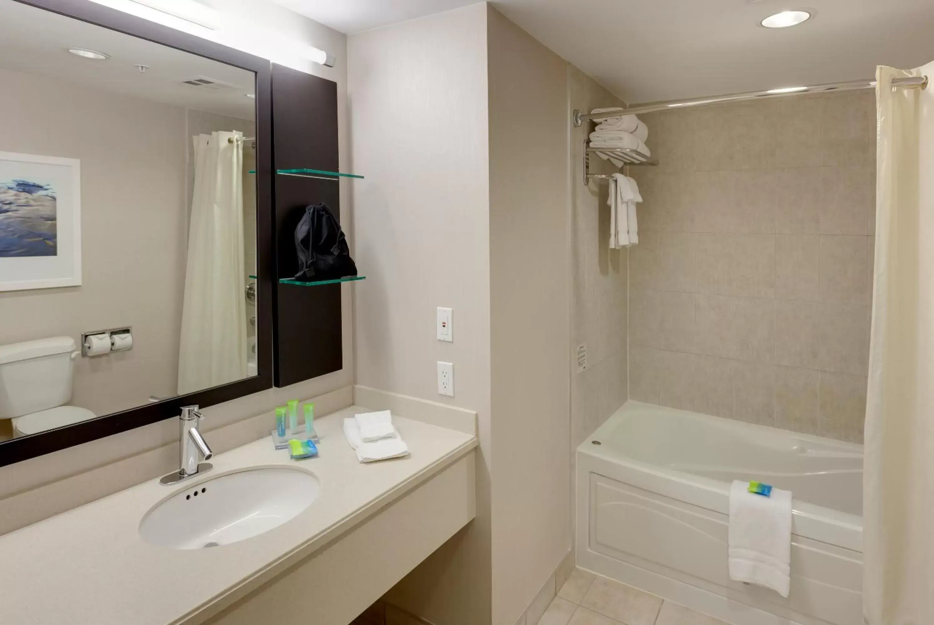 Bathroom in Radisson Hotel & Suites Fallsview