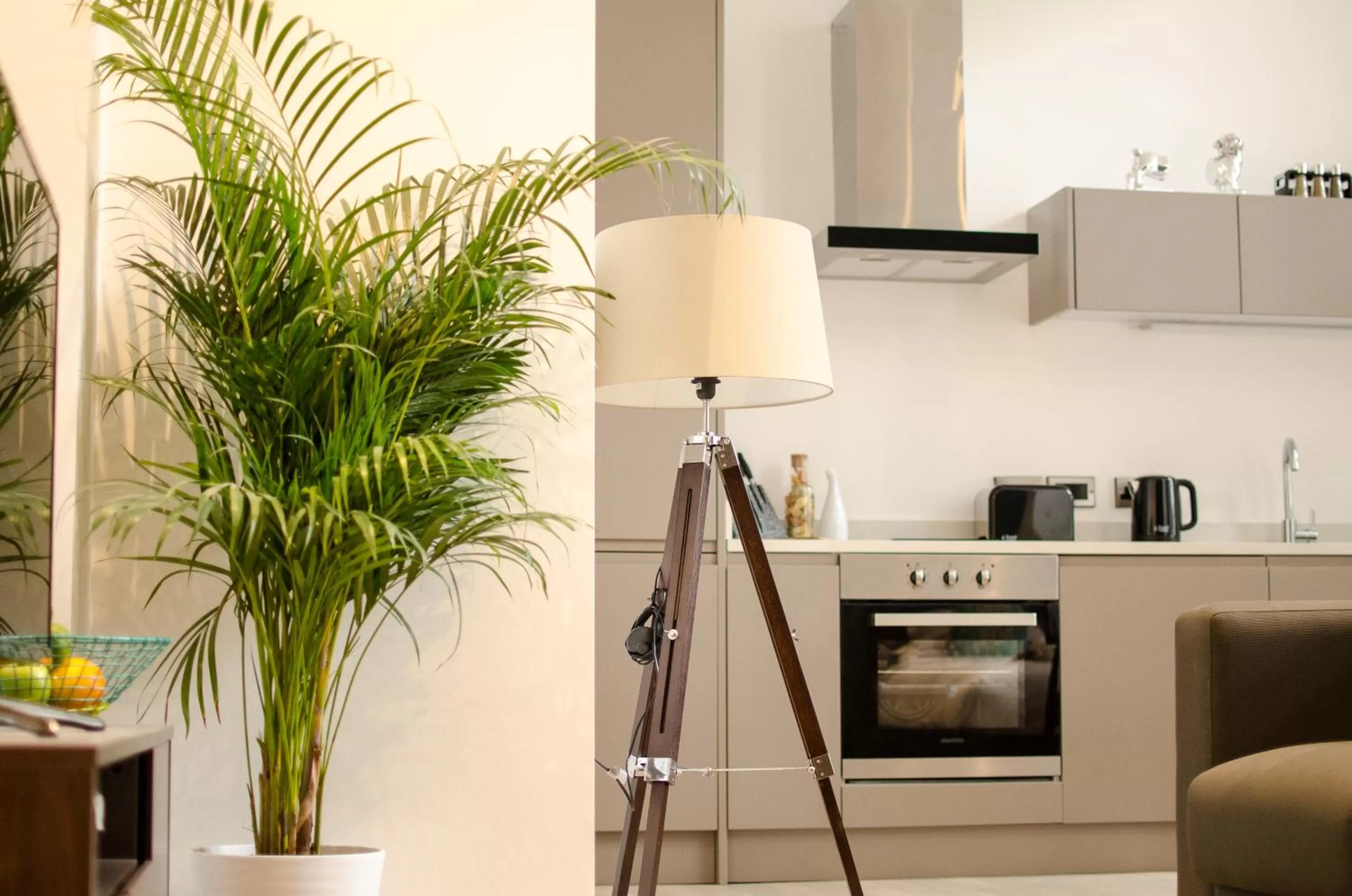 Kitchen or kitchenette in Terlon Apartments