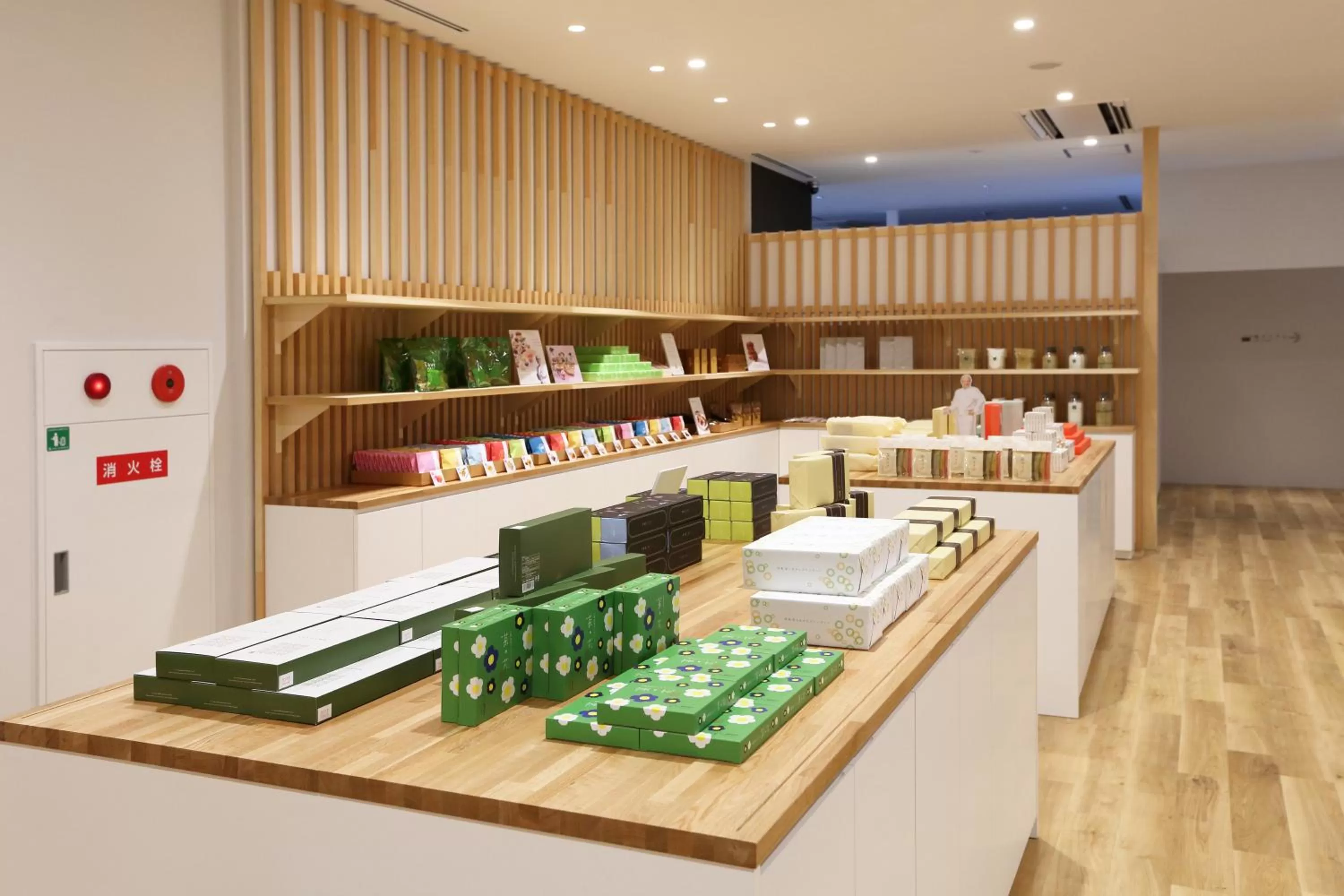 Shopping Area in Henn na Hotel Kansai Airport