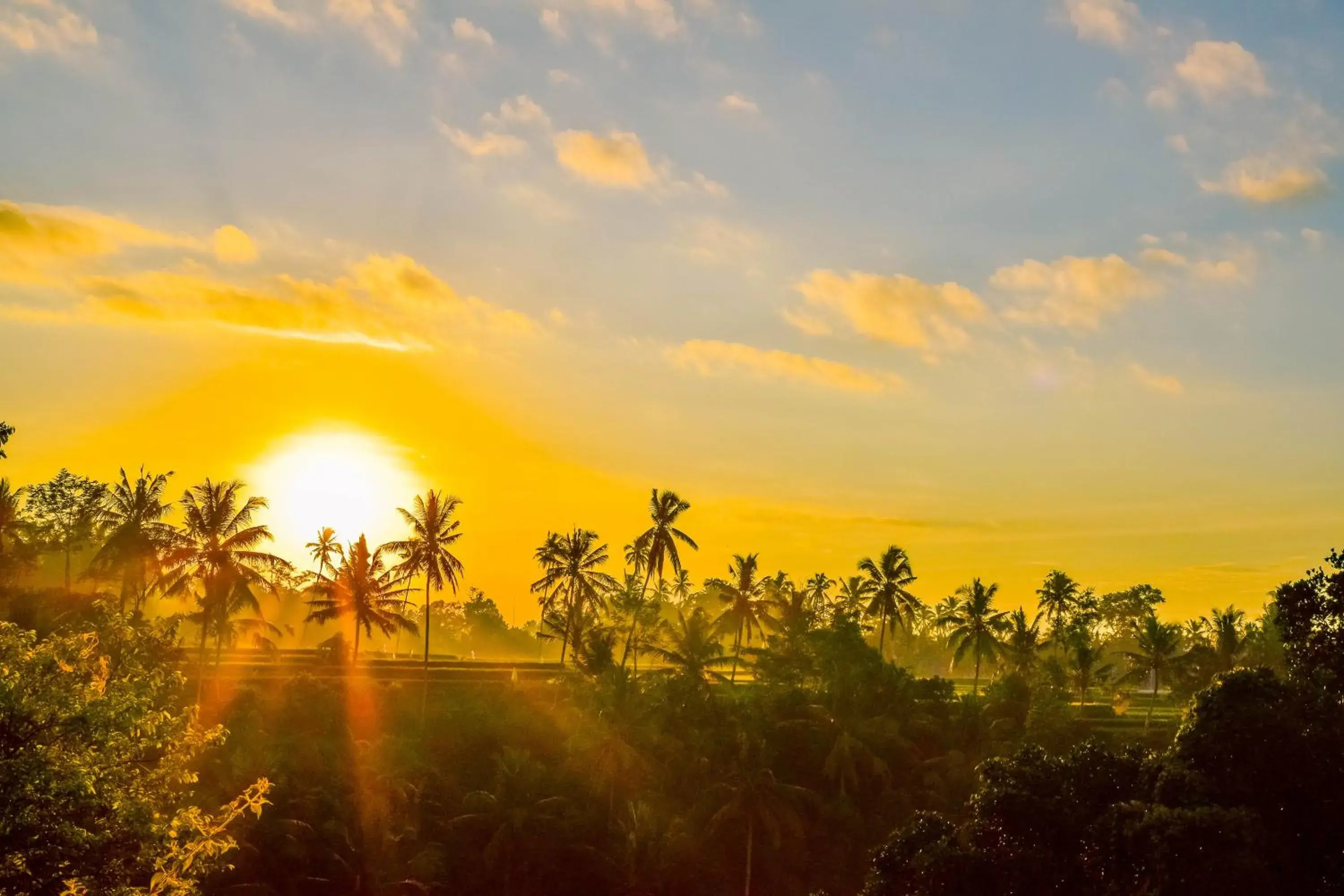 Natural landscape, Sunrise/Sunset in Griya Sriwedari