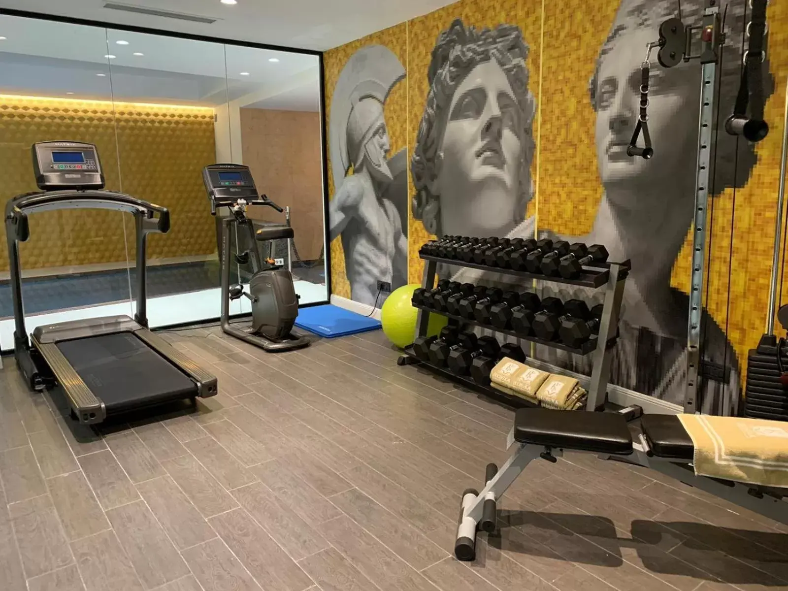 Fitness centre/facilities in HOLM Boutique & SPA - IK Collection Fitness centre/facilities in HOLM Boutique & SPA - IK Collection