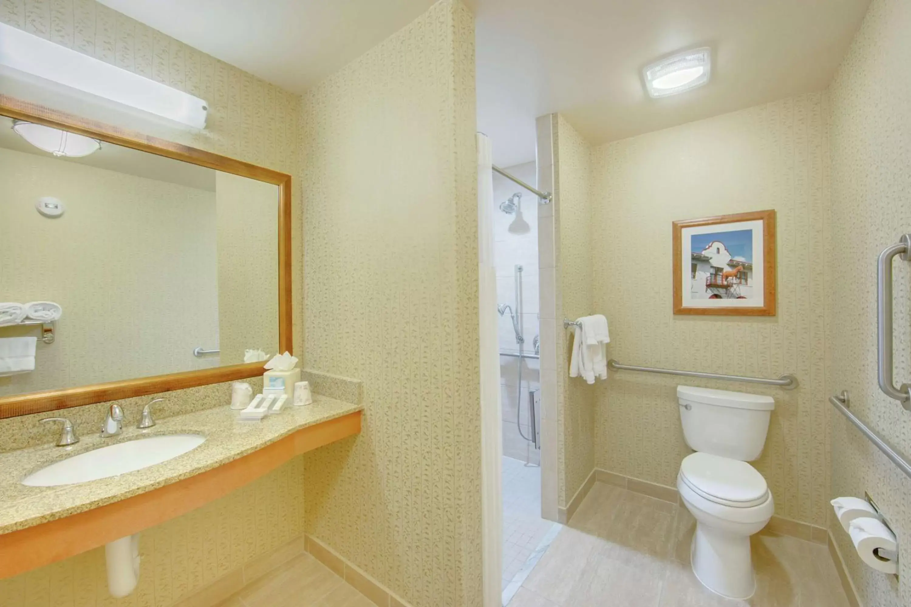 Bathroom in Hilton Garden Inn Fort Worth Medical Center