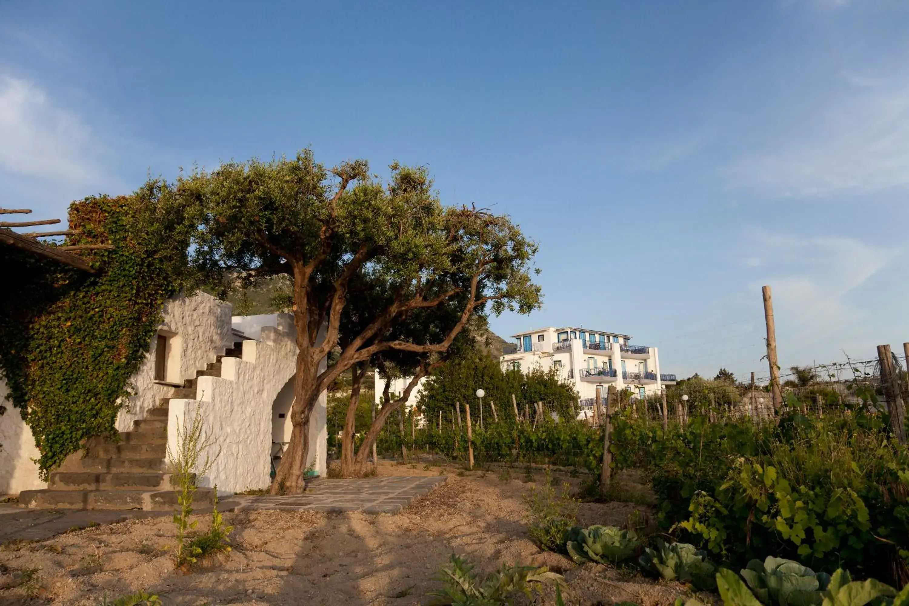 Garden in Il Gattopardo Hotel Terme & Beauty Farm