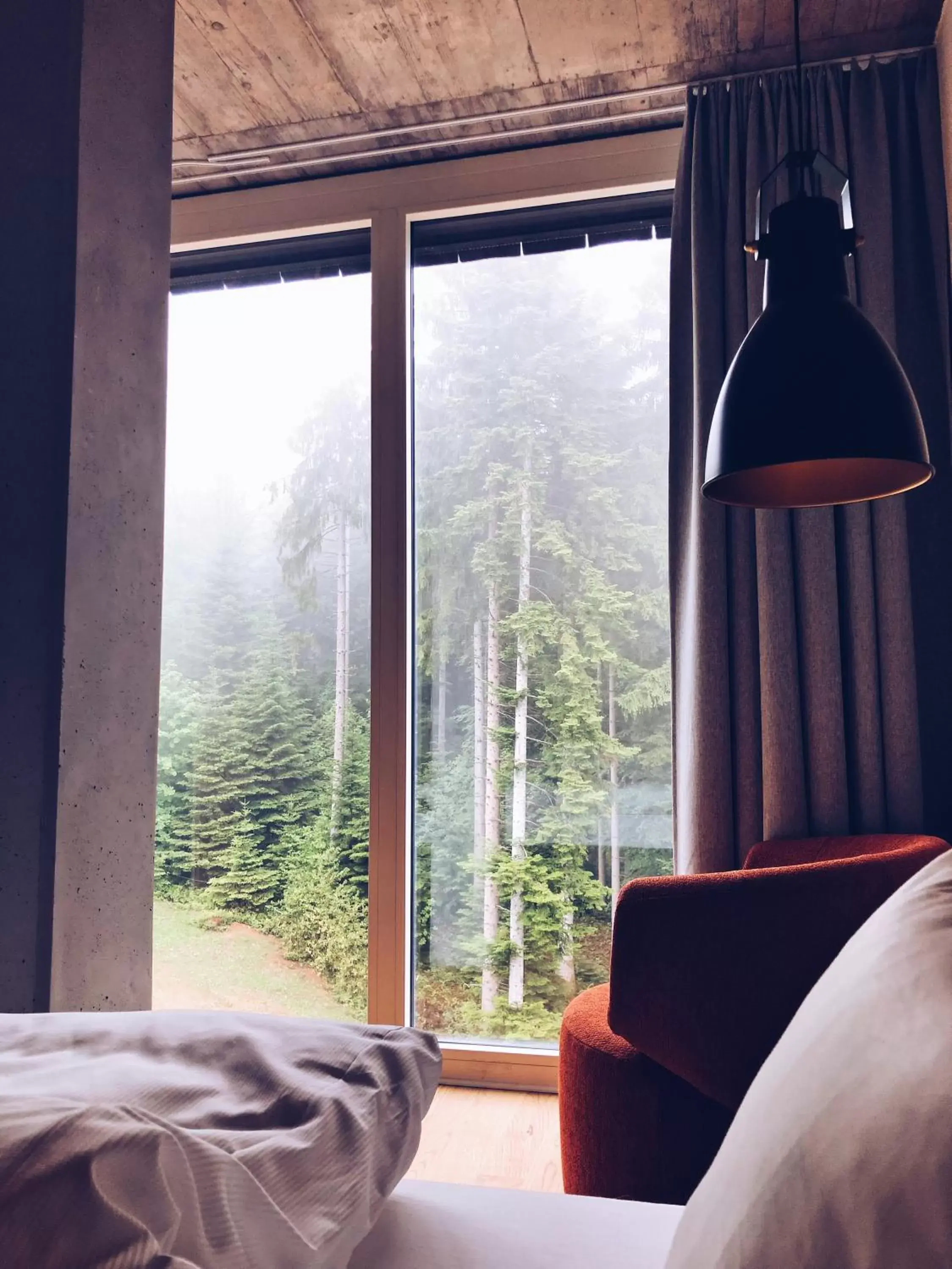 Bed, Mountain View in Fritz Lauterbad