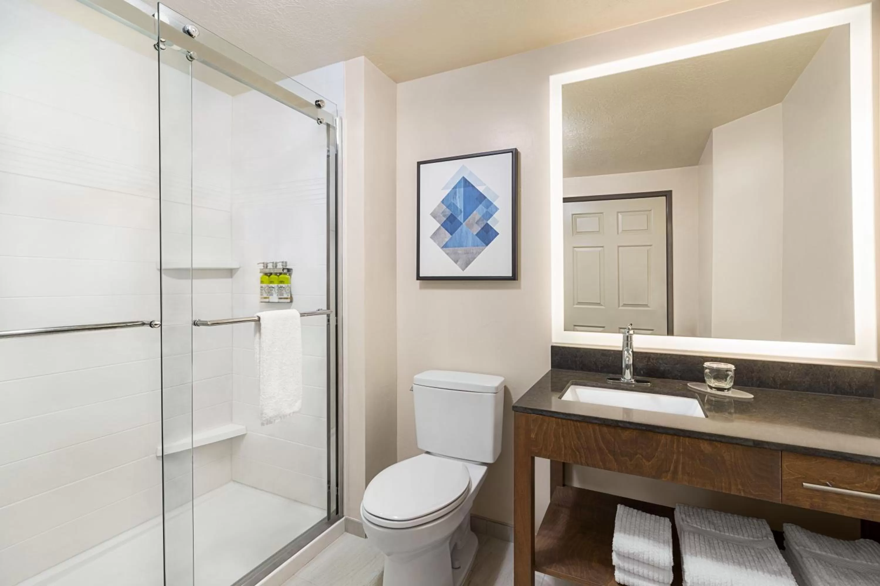 Queen Room with Hearing Mobility Accessible Roll In Shower in Candlewood Suites Boise-Meridian, an IHG Hotel