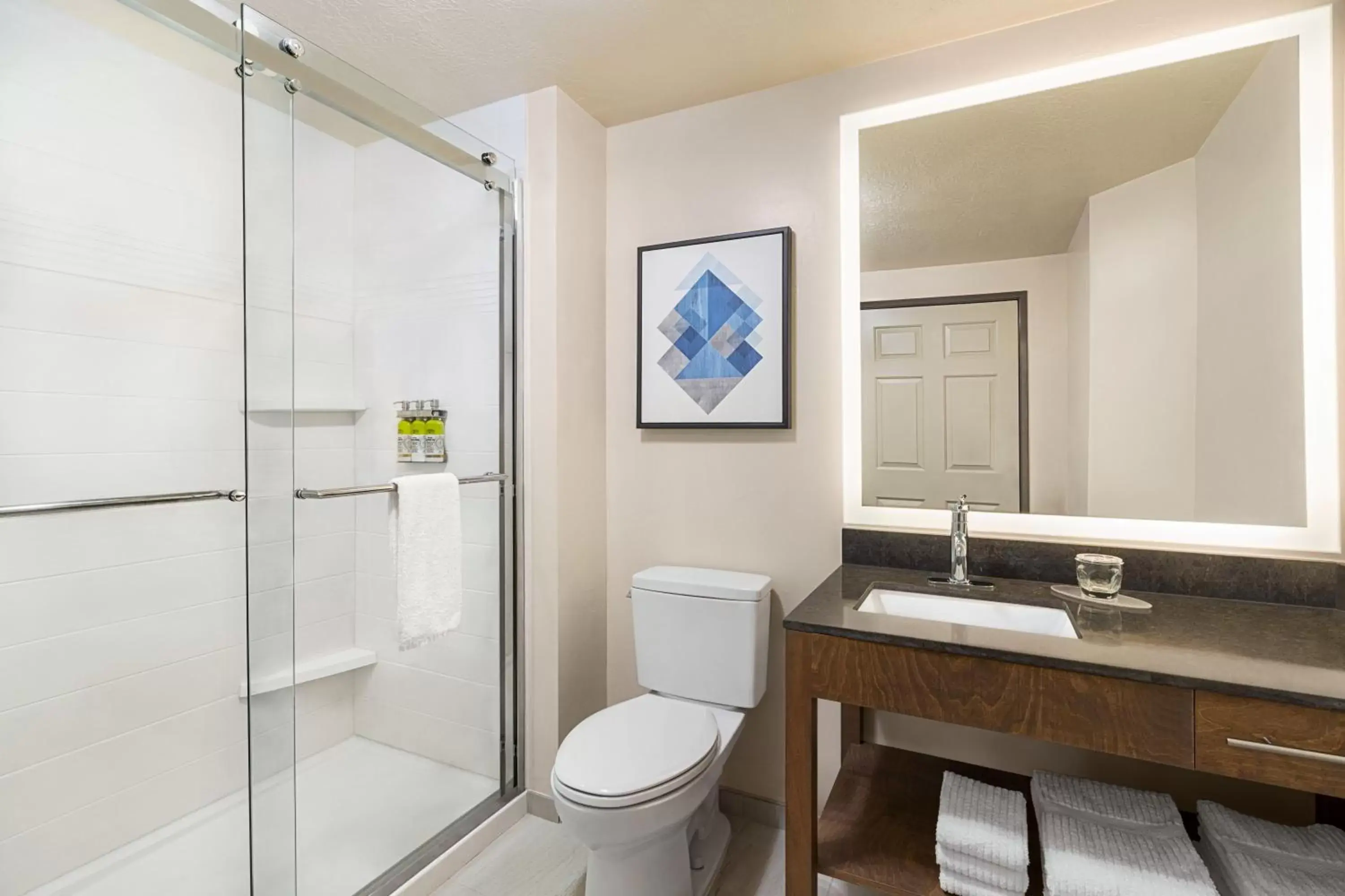 Shower, Bathroom in Candlewood Suites Boise-Meridian, an IHG Hotel