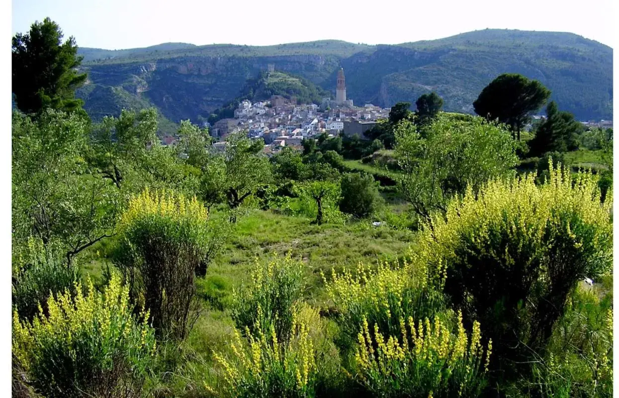 Garden in Sharíqua