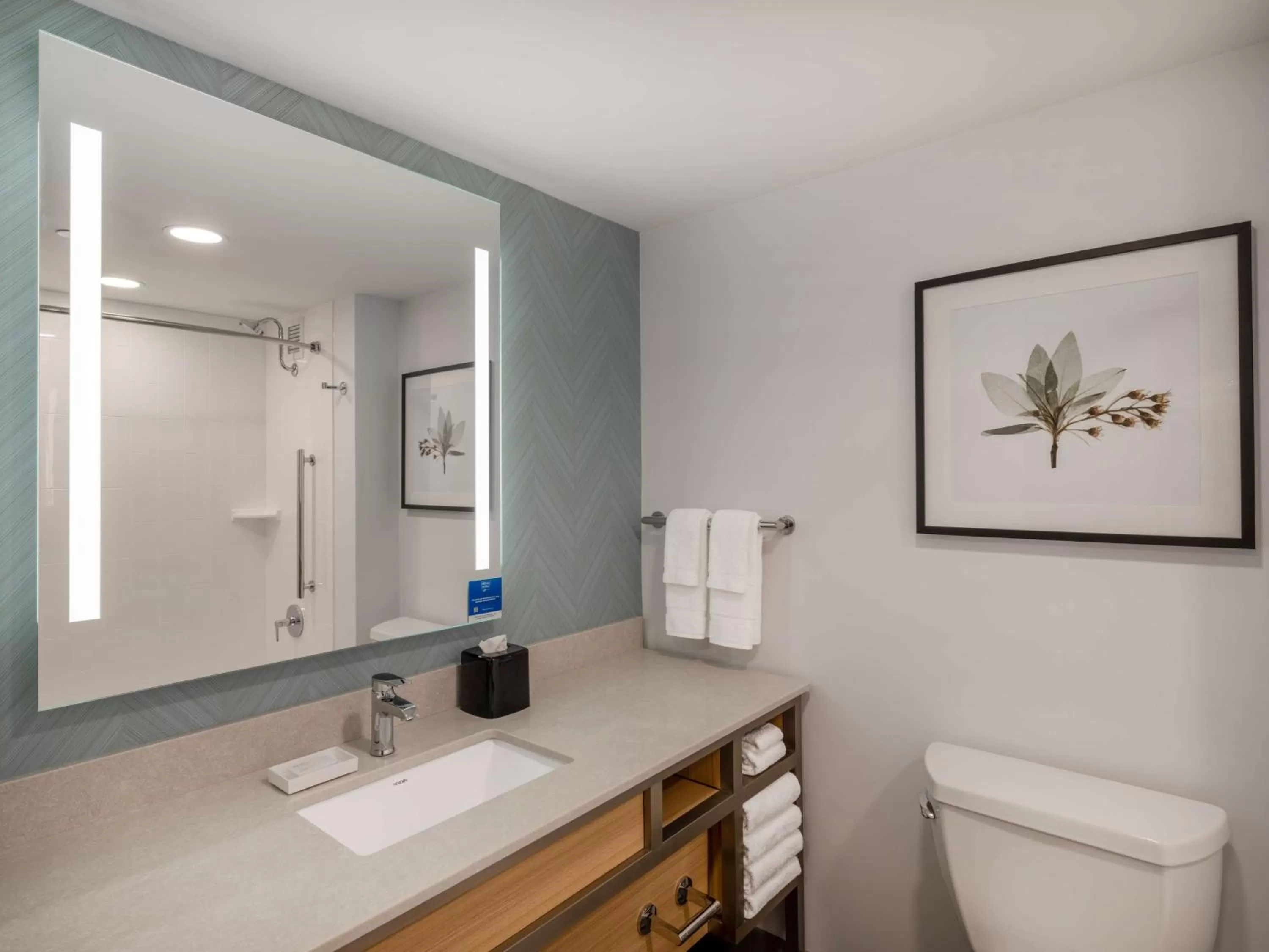 Bathroom in Hilton Garden Inn Toledo Downtown