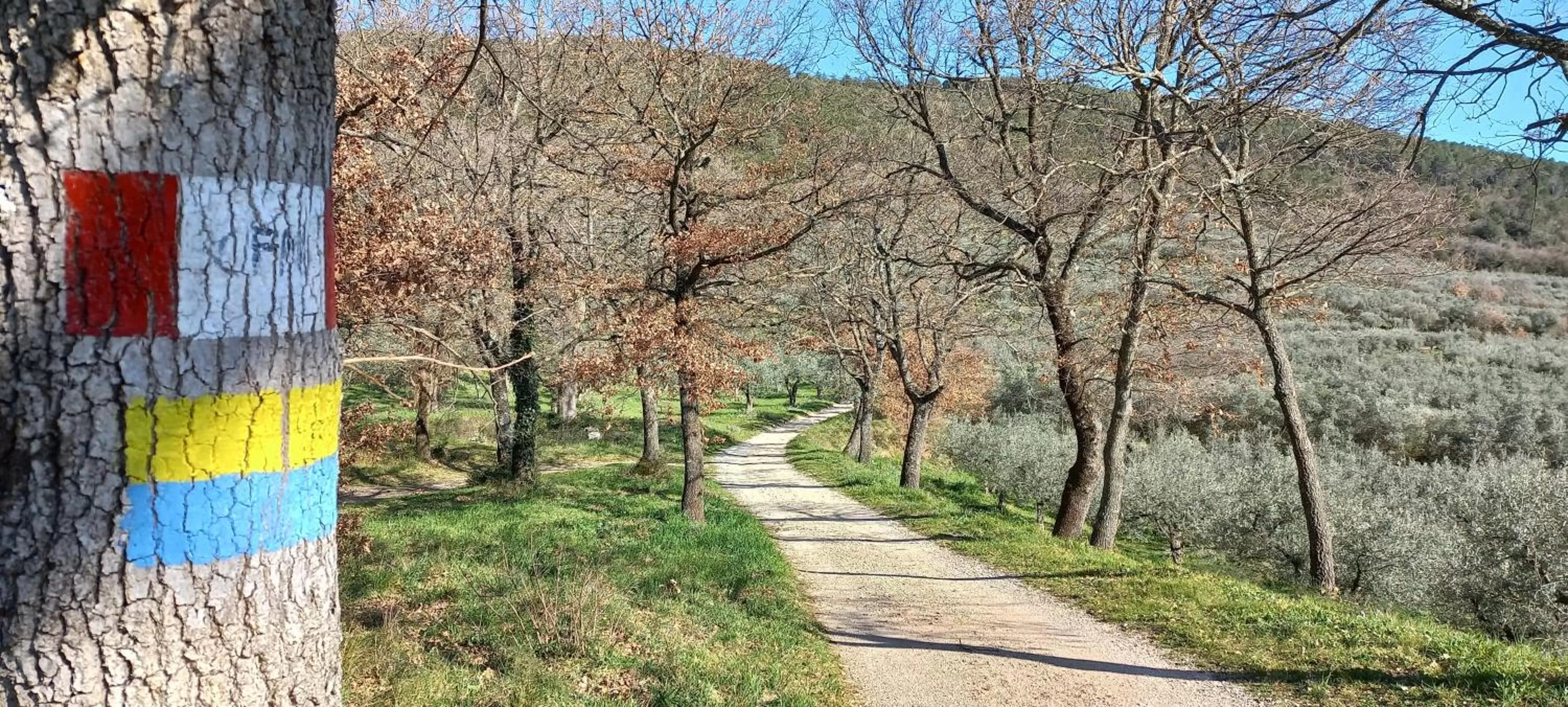 Domus Antiqua Bed & Breakfast