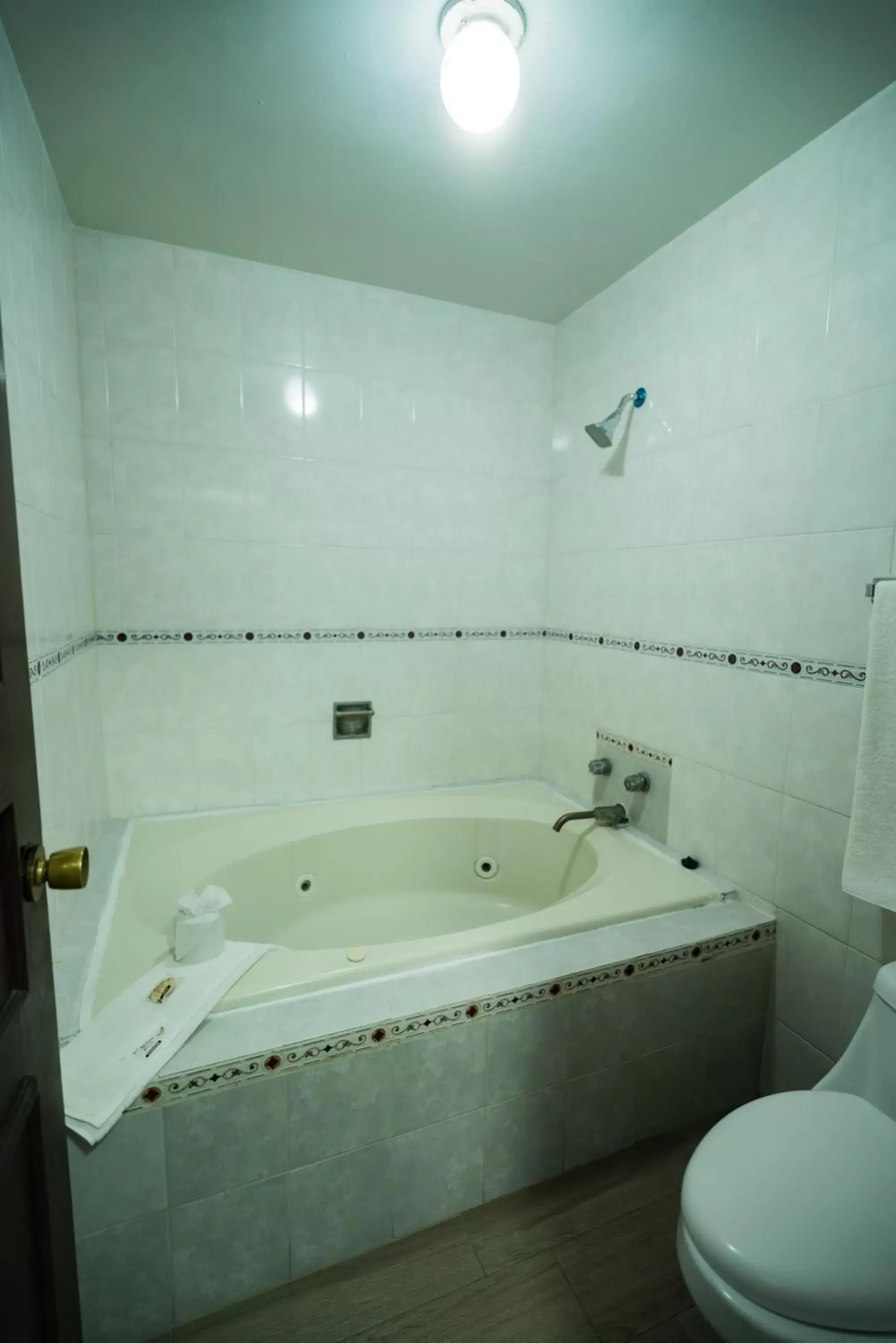 Bathroom in Hotel Don Quijote Plaza - Guadalajara Centro Historico