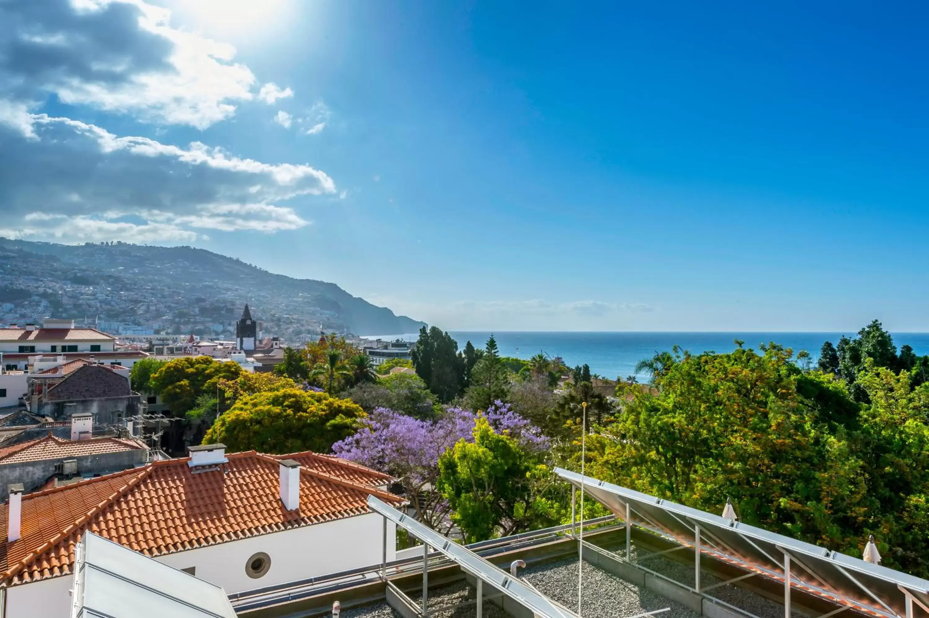 Balcony/Terrace in Hotel Madeira