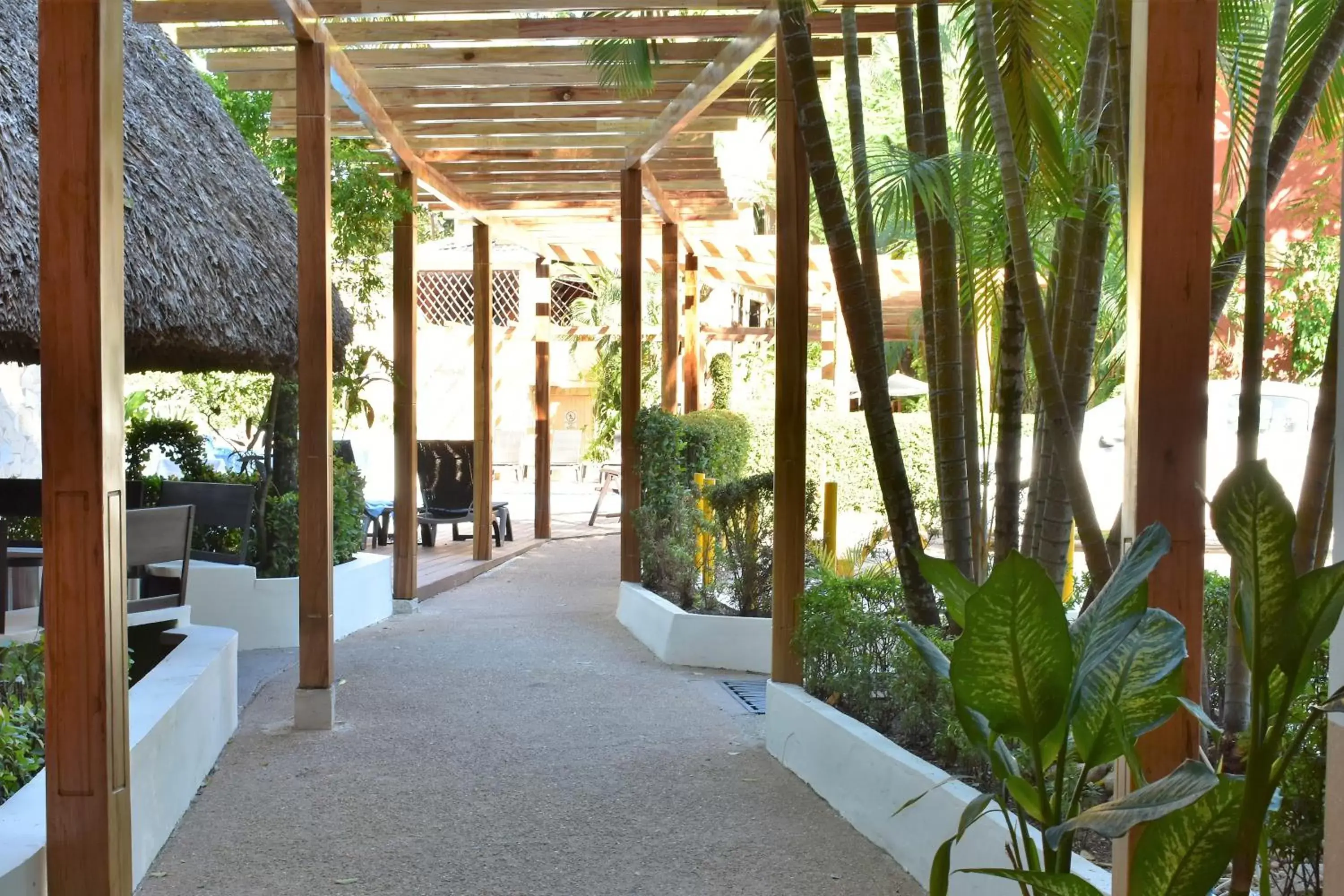 Garden in Hotel Maya Tulipanes Palenque