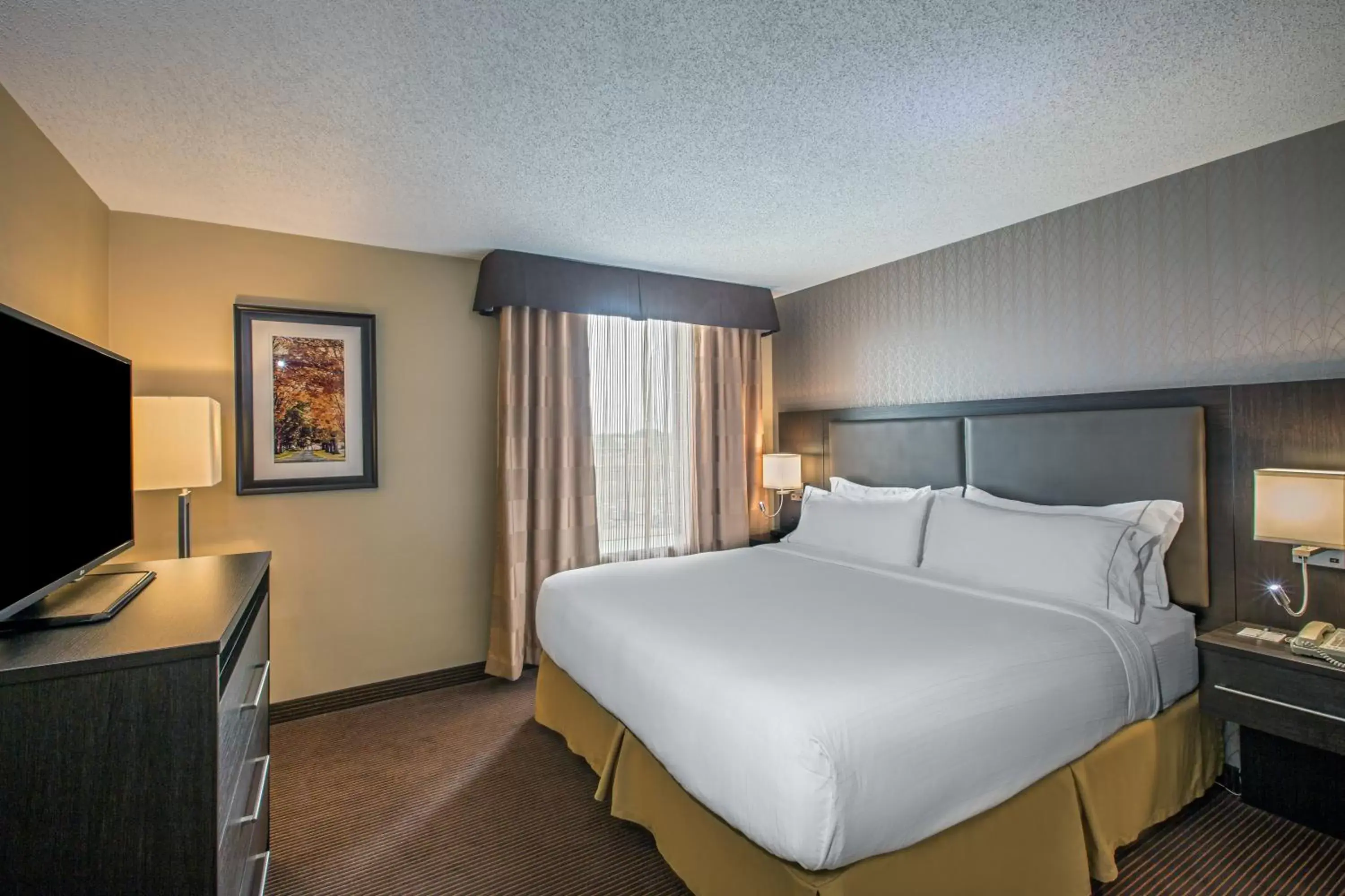 Photo of the whole room, Bed in Holiday Inn Express & Suites Regina Downtown, an IHG Hotel