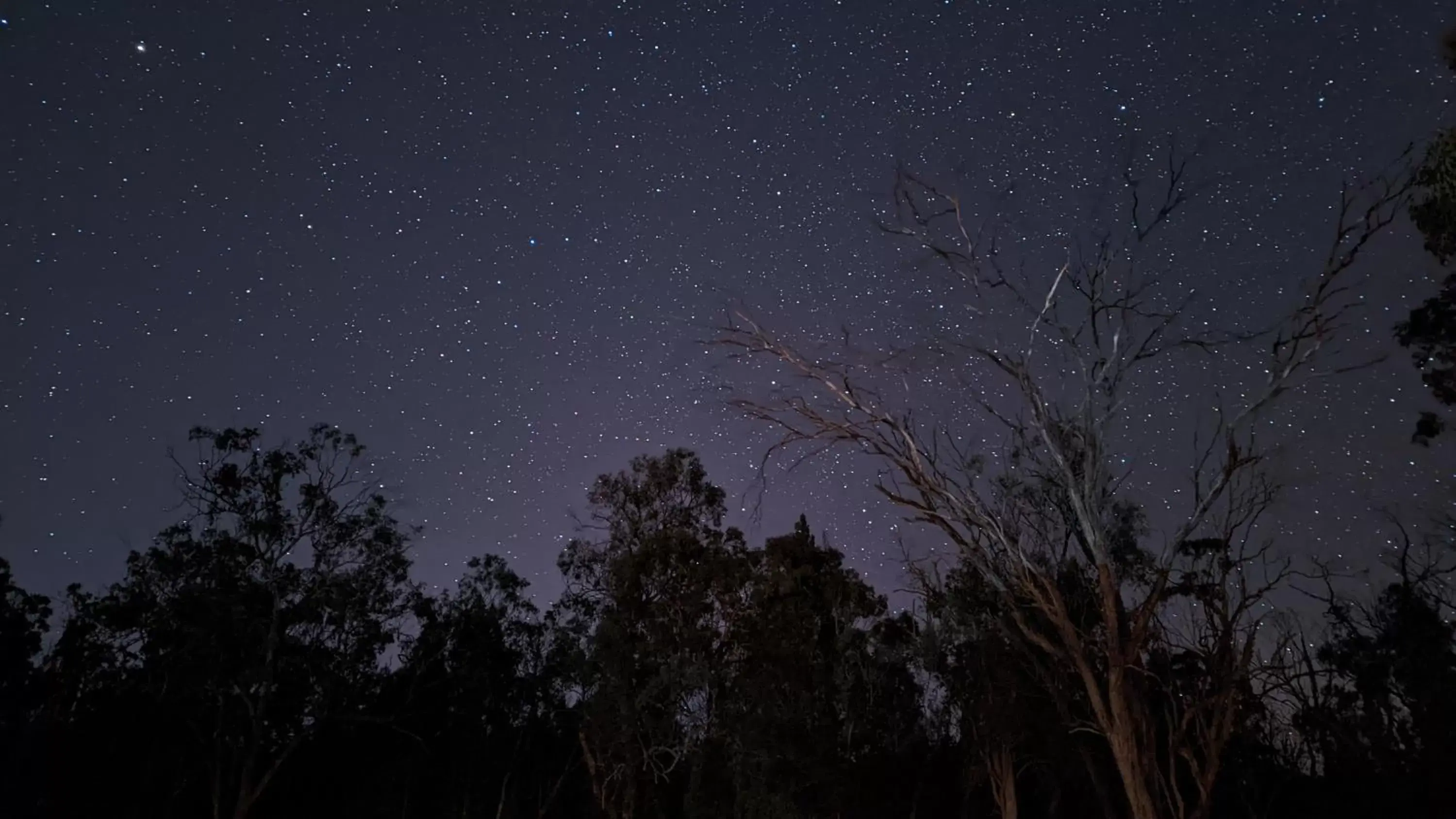 Night, Winter in Diamondvale Estate Stanthorpe